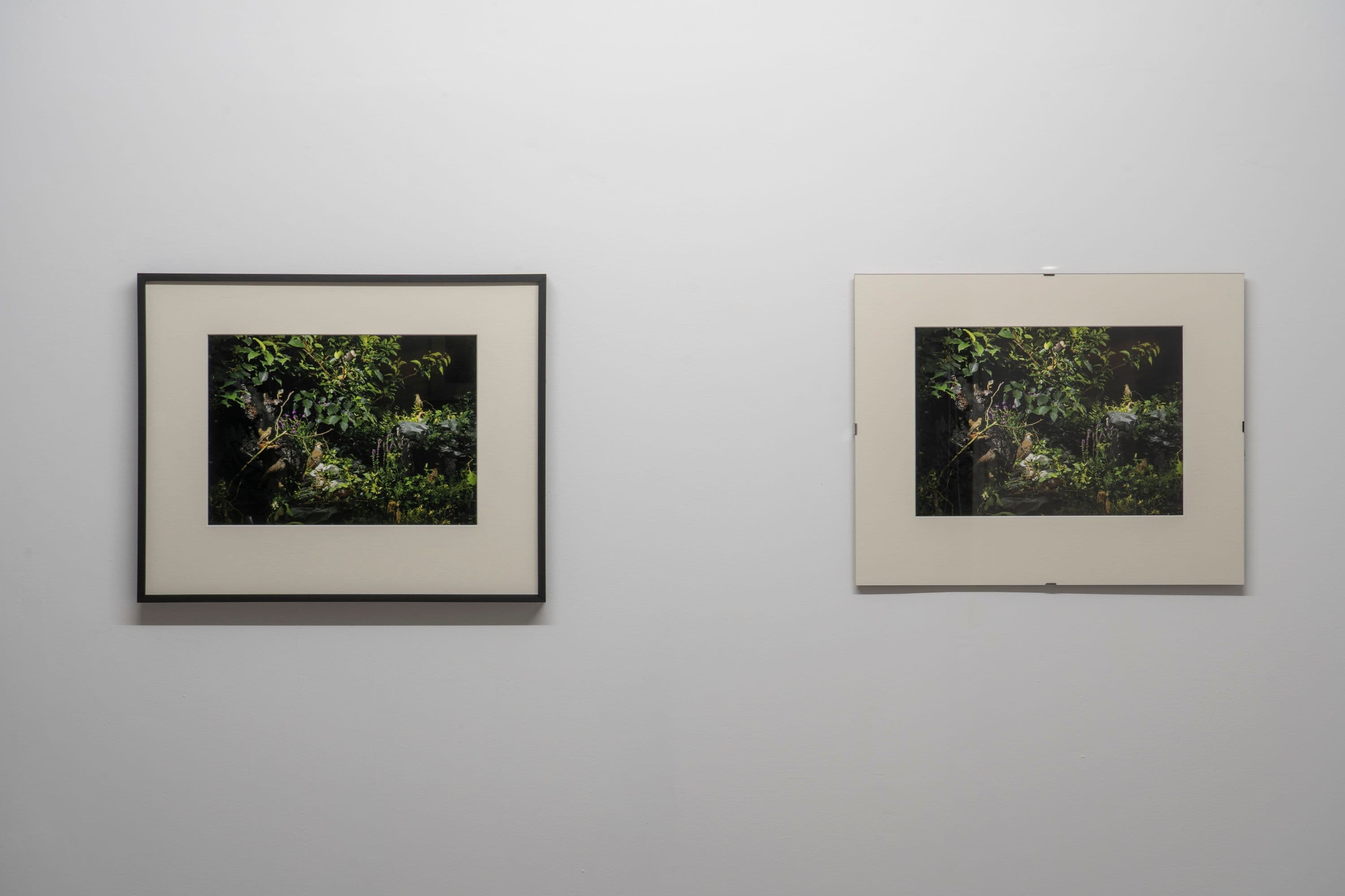 Noémie Degen/Simon Jaton, Chiara Simion, Richard Sides, Robert Pillenstein, Simone Nieweg @ Rinde am Rhein