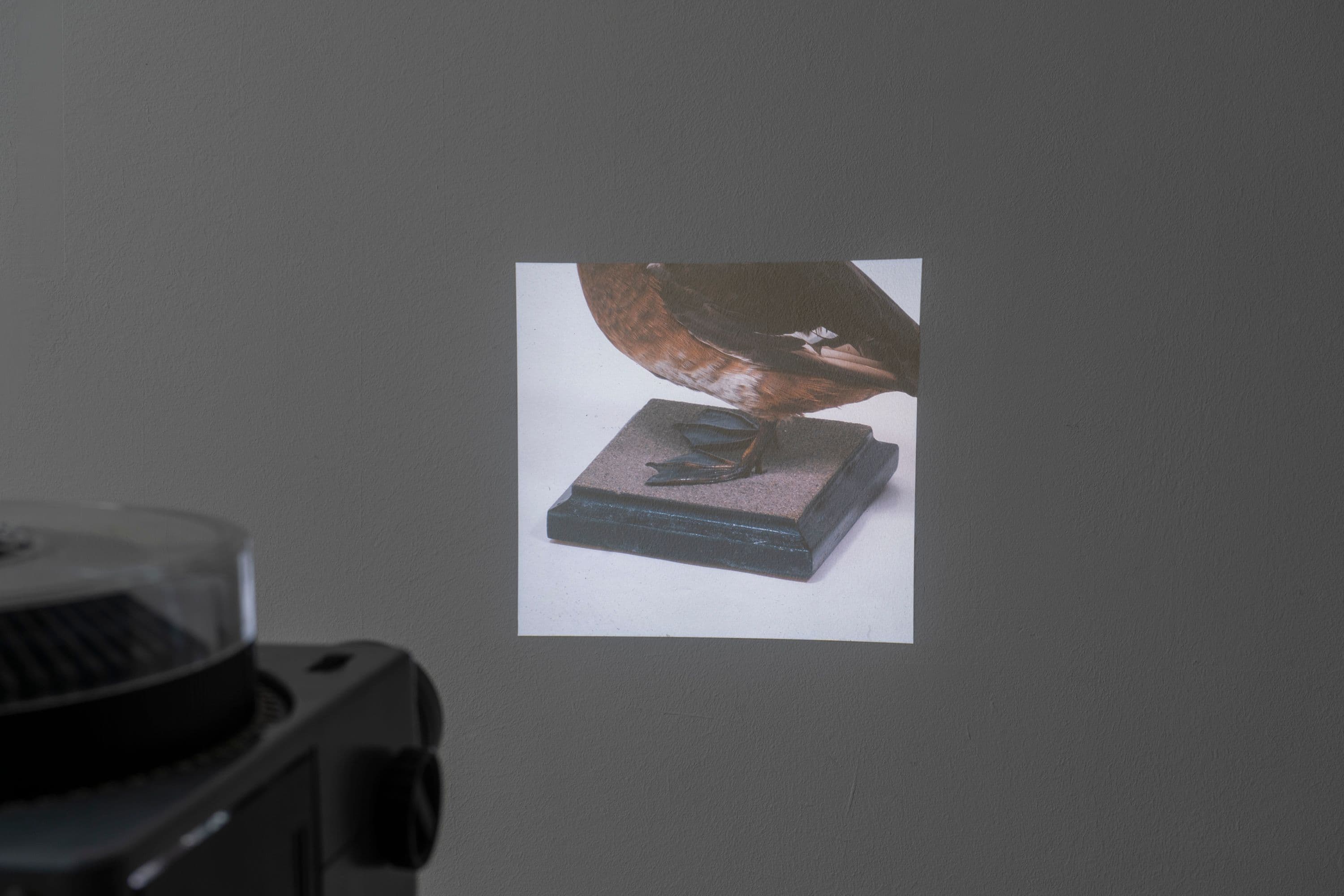 Noémie Degen/Simon Jaton, Chiara Simion, Richard Sides, Robert Pillenstein, Simone Nieweg @ Rinde am Rhein