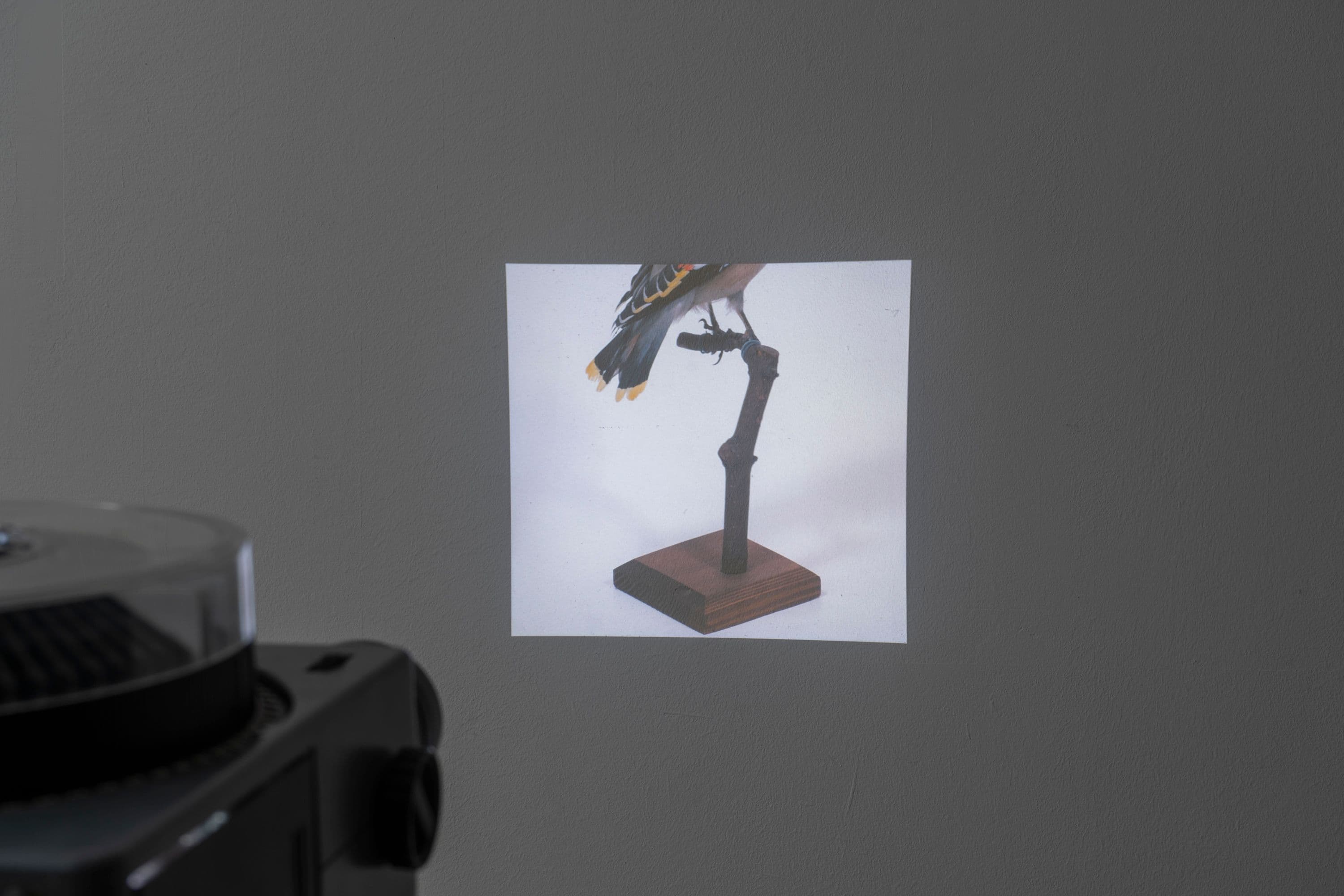 Noémie Degen/Simon Jaton, Chiara Simion, Richard Sides, Robert Pillenstein, Simone Nieweg @ Rinde am Rhein