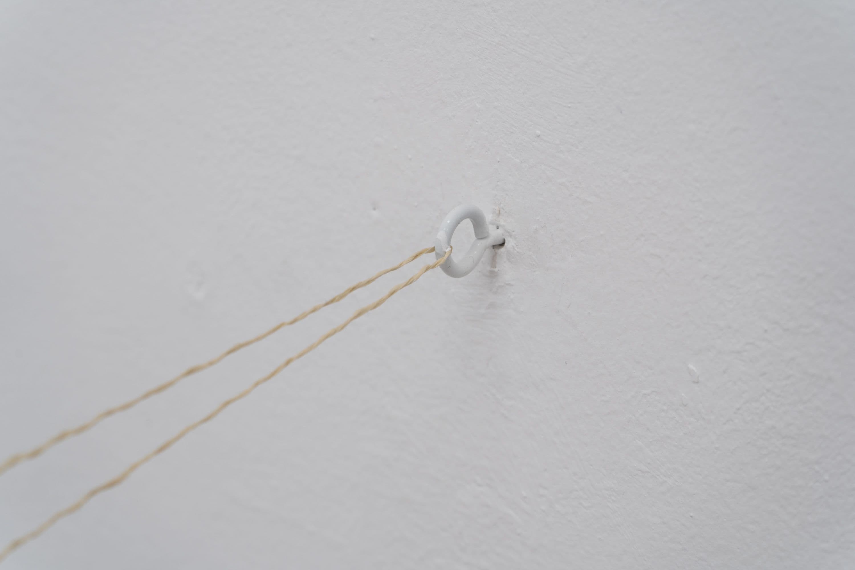 Anita Esfandiari, Sepideh Zamani and Zishi Han @ Rinde am Rhein