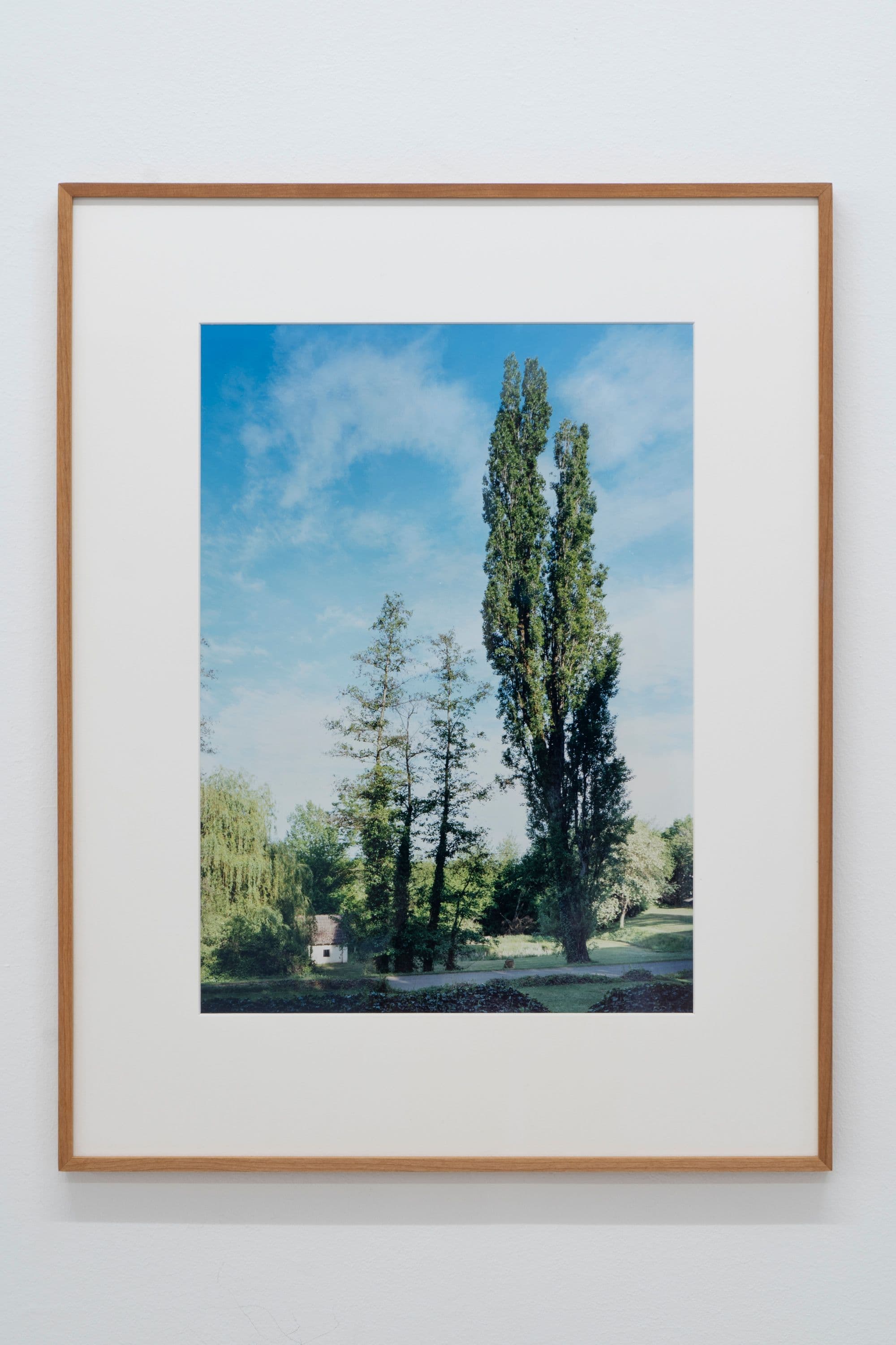 Noémie Degen/Simon Jaton, Chiara Simion, Richard Sides, Robert Pillenstein, Simone Nieweg @ Rinde am Rhein