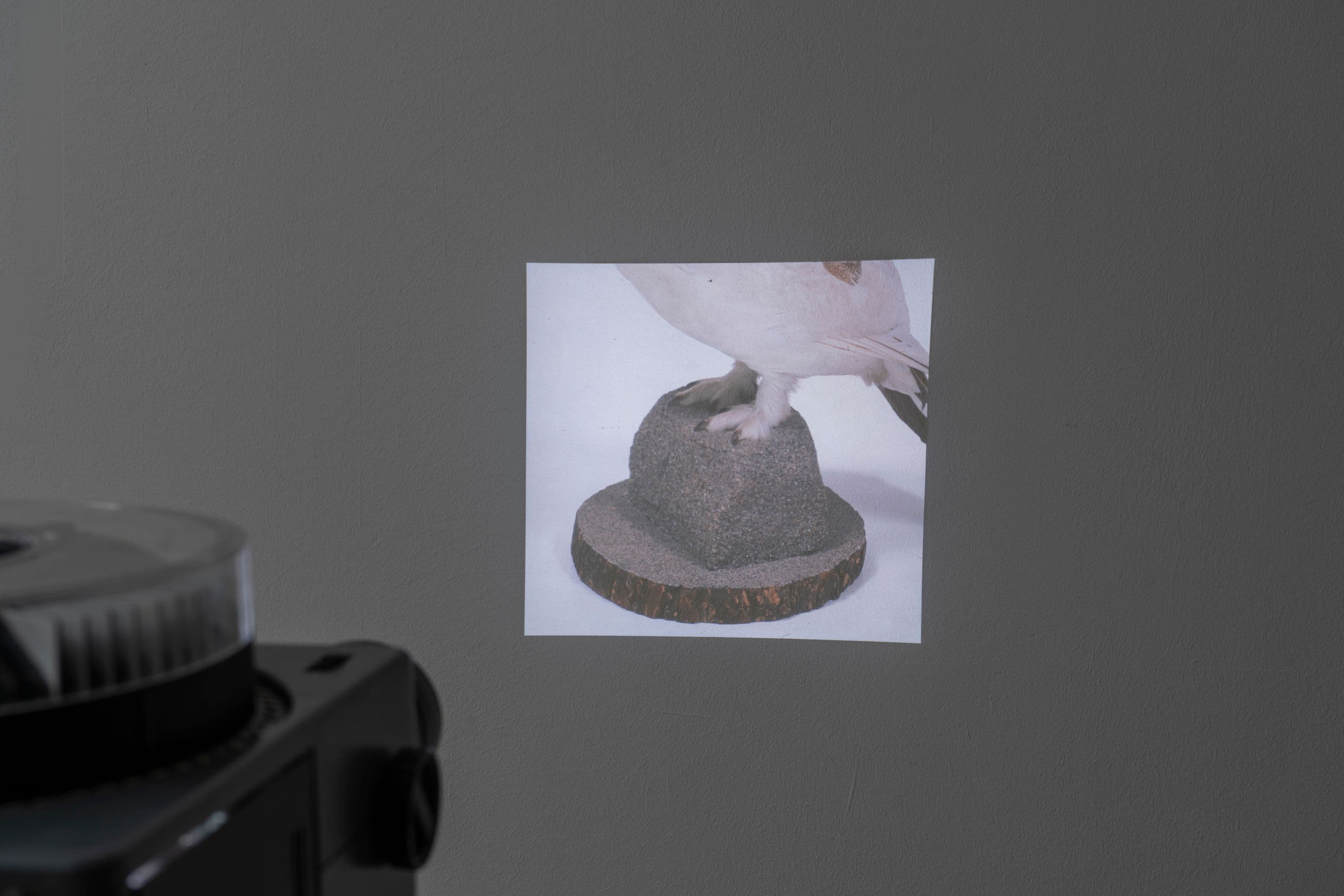 Noémie Degen/Simon Jaton, Chiara Simion, Richard Sides, Robert Pillenstein, Simone Nieweg @ Rinde am Rhein