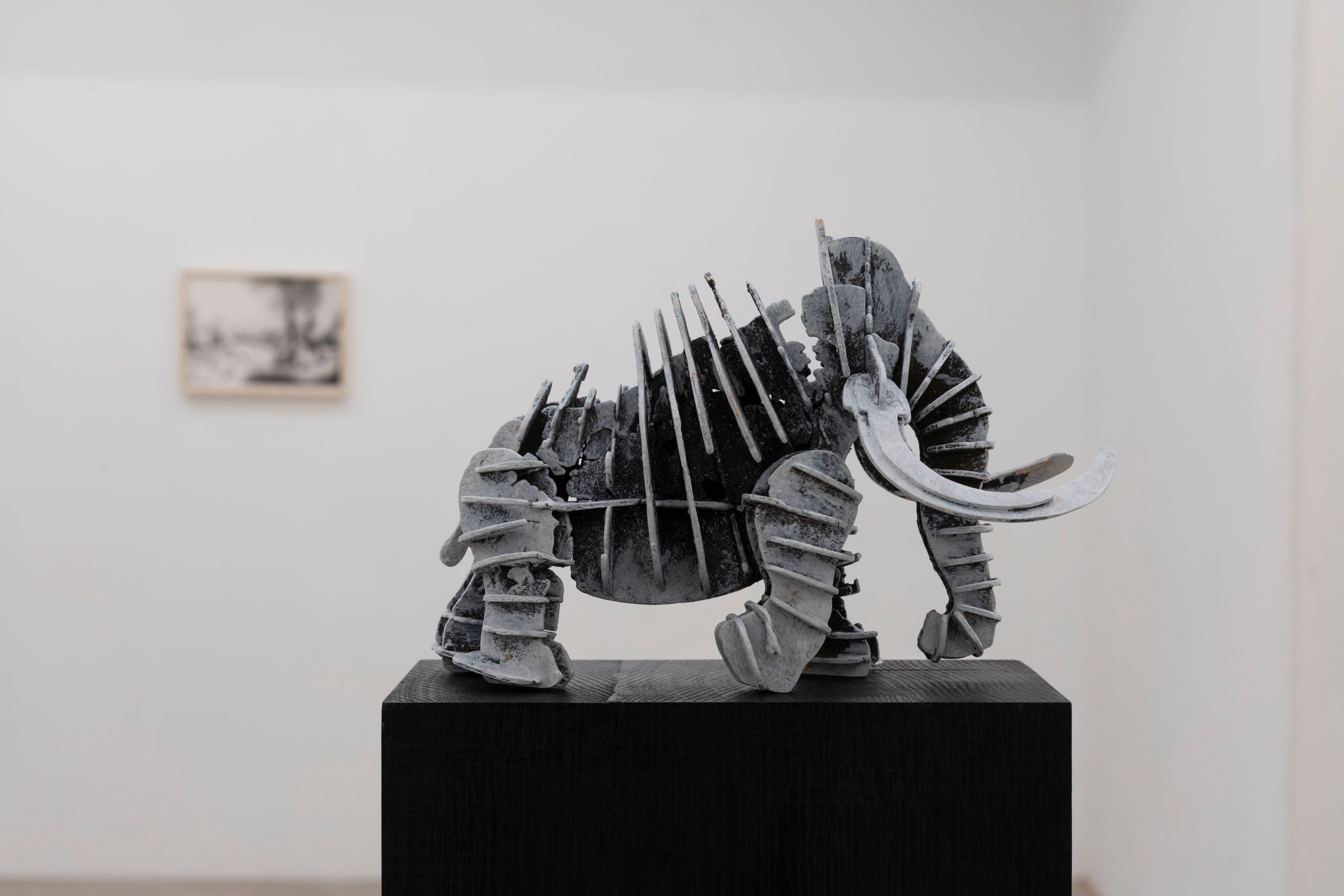 Sam Holzberg @ Rinde am Rhein