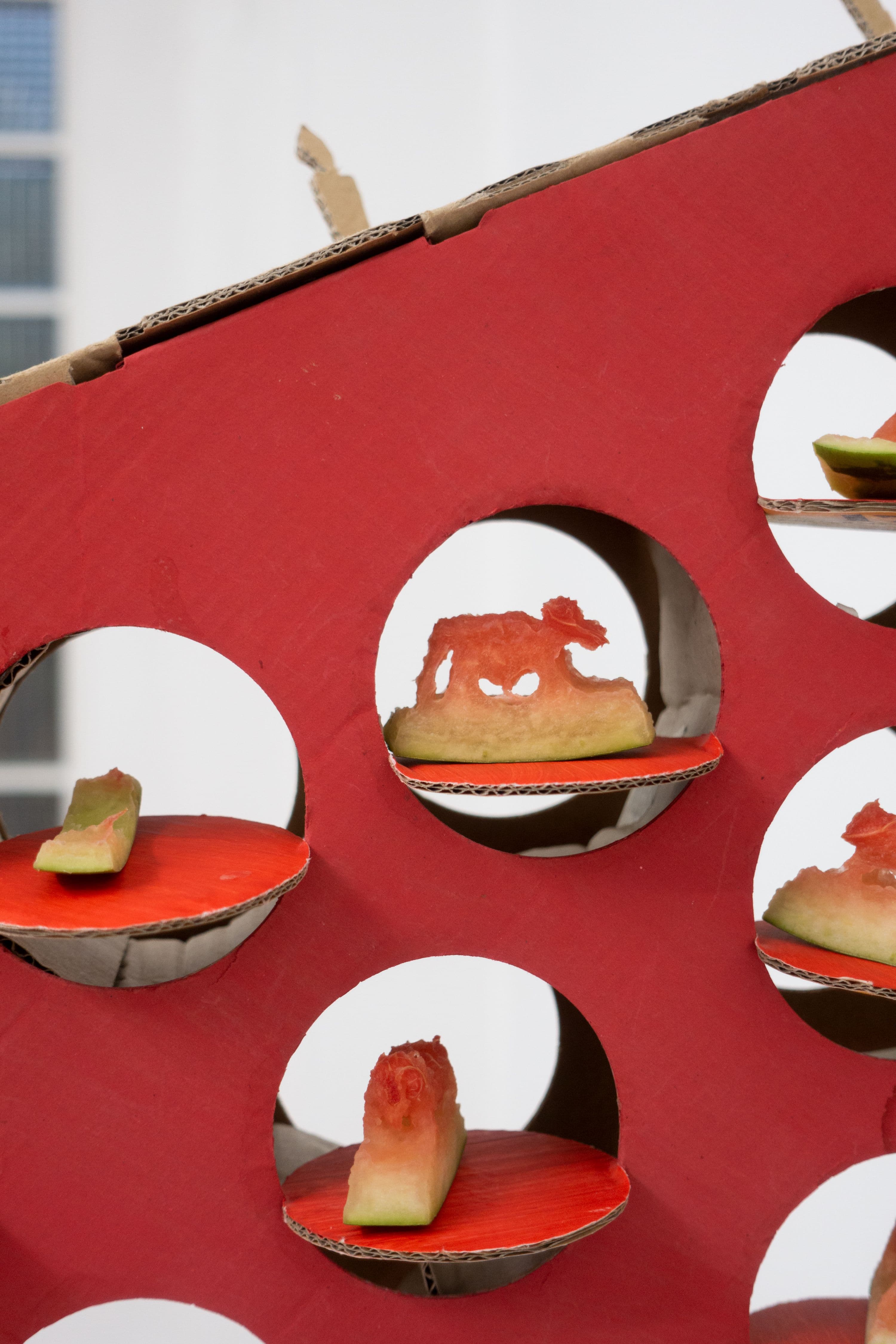 Florian Moldan @ Rinde am Rhein