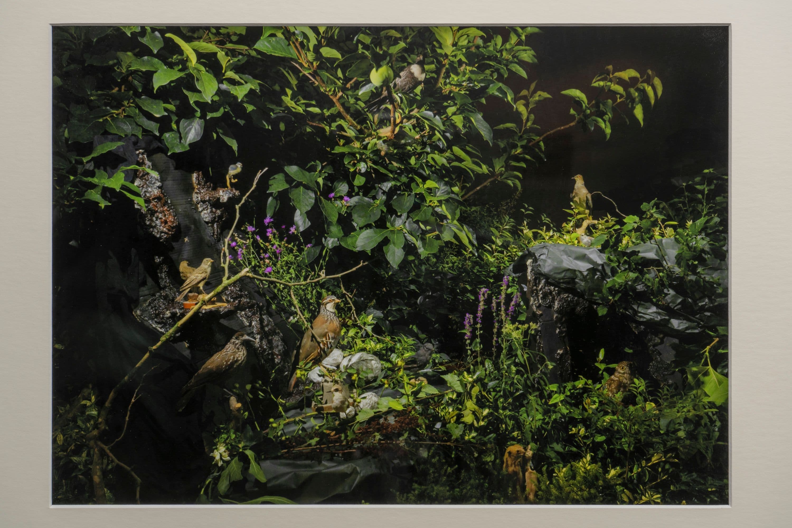 Noémie Degen/Simon Jaton, Chiara Simion, Richard Sides, Robert Pillenstein, Simone Nieweg @ Rinde am Rhein