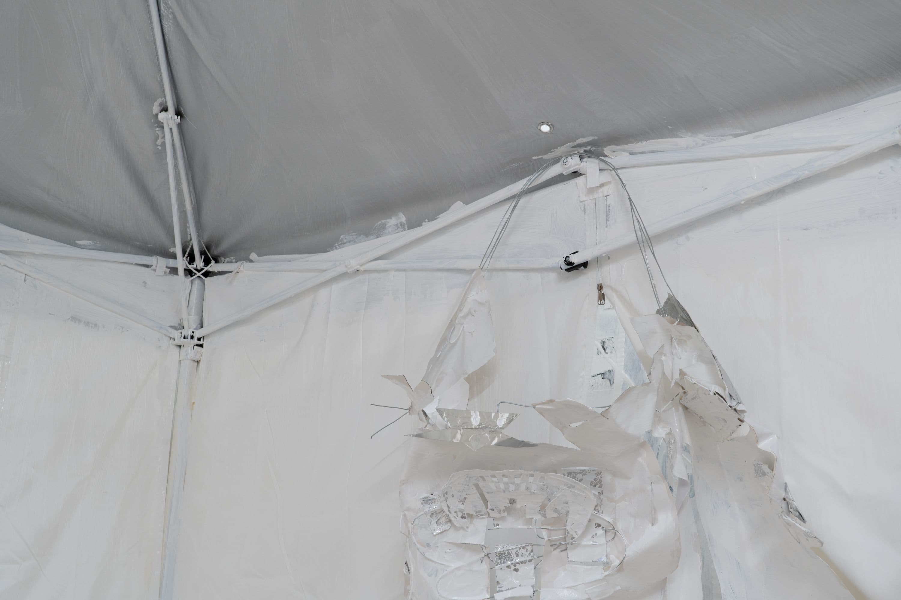 La Biennale @ Rinde am Rhein