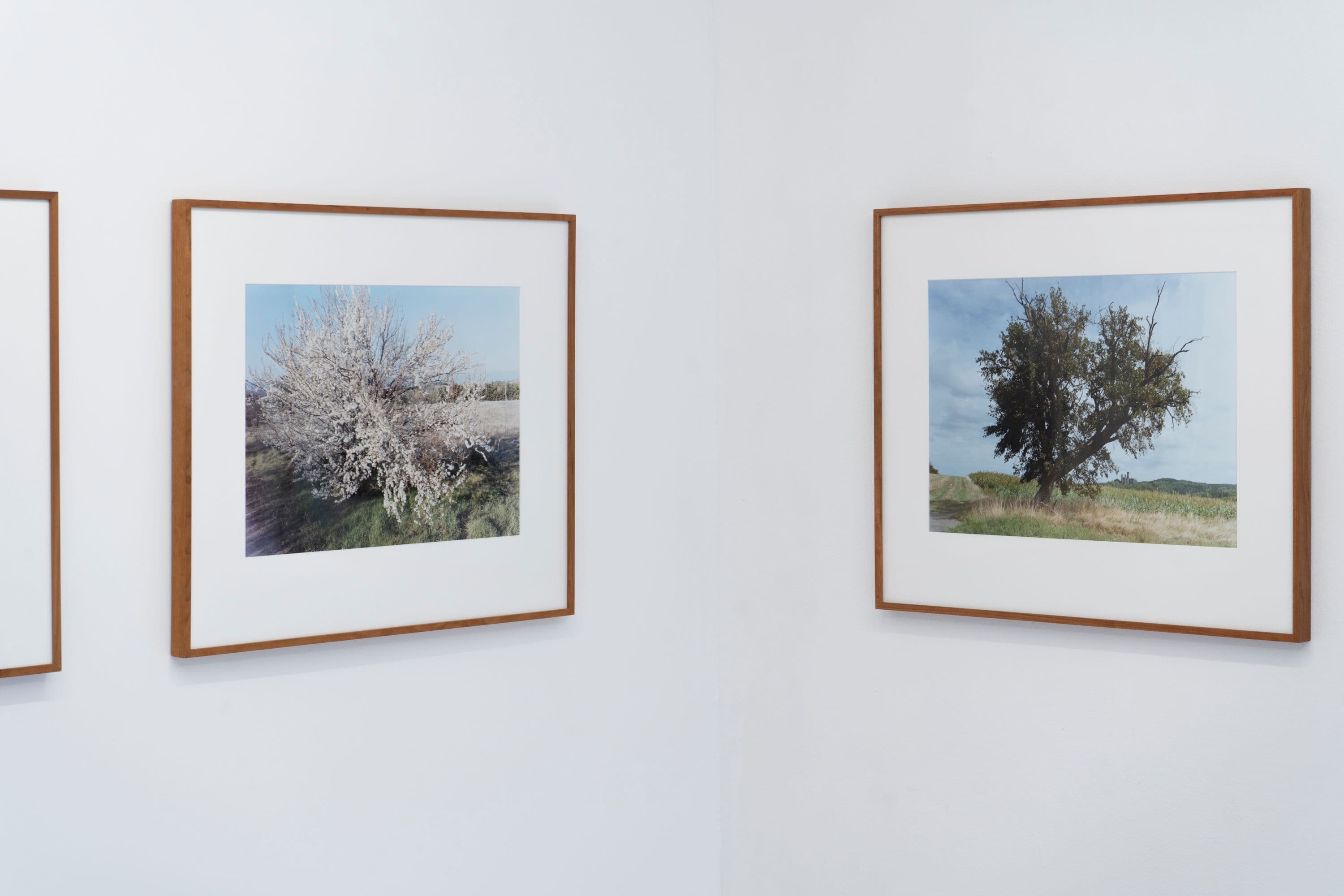 Noémie Degen/Simon Jaton, Chiara Simion, Richard Sides, Robert Pillenstein, Simone Nieweg @ Rinde am Rhein