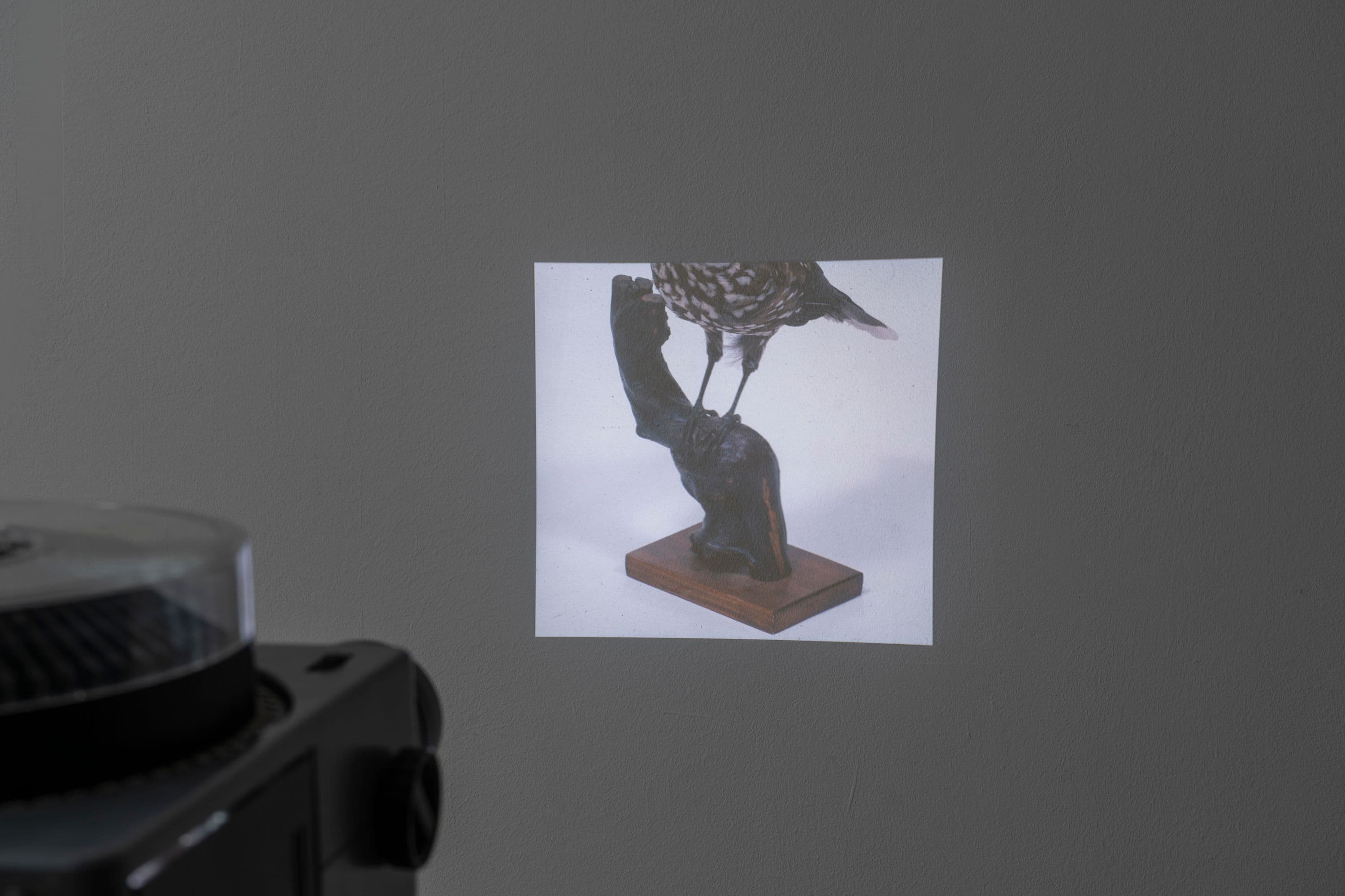 Noémie Degen/Simon Jaton, Chiara Simion, Richard Sides, Robert Pillenstein, Simone Nieweg @ Rinde am Rhein