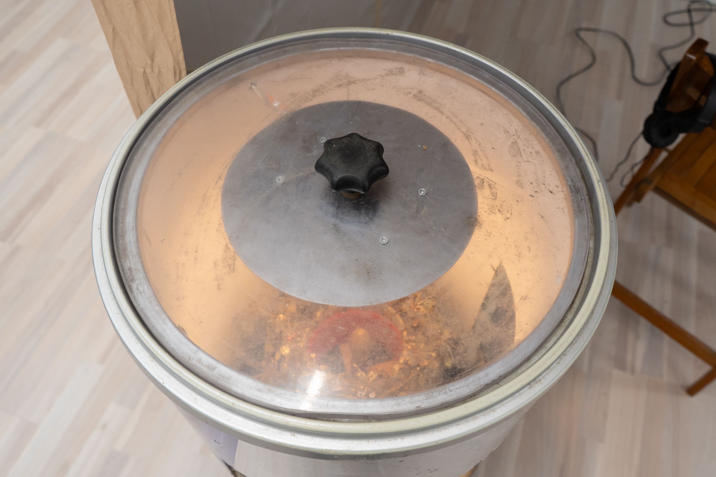 La Biennale @ Rinde am Rhein