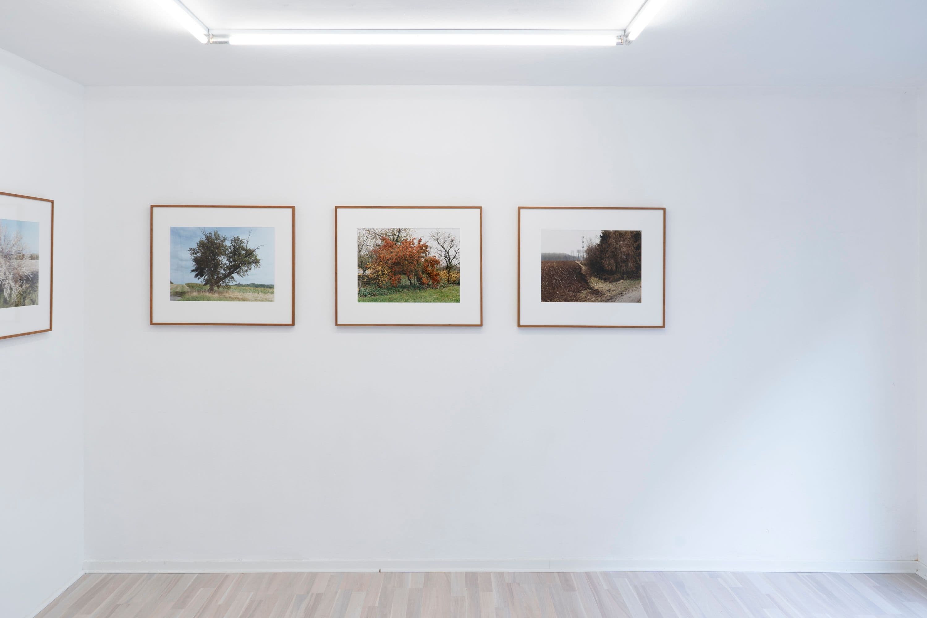 Noémie Degen/Simon Jaton, Chiara Simion, Richard Sides, Robert Pillenstein, Simone Nieweg @ Rinde am Rhein