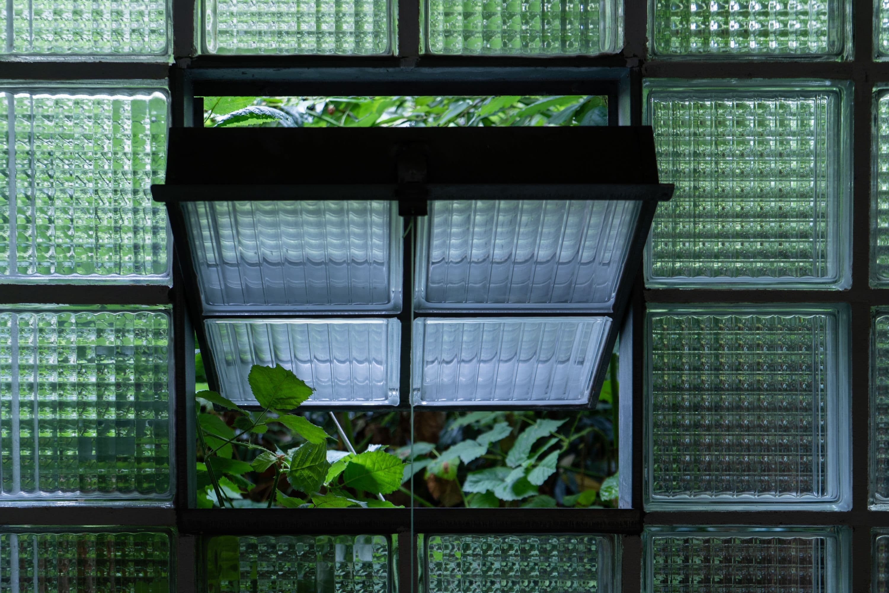 Anita Esfandiari, Sepideh Zamani and Zishi Han @ Rinde am Rhein