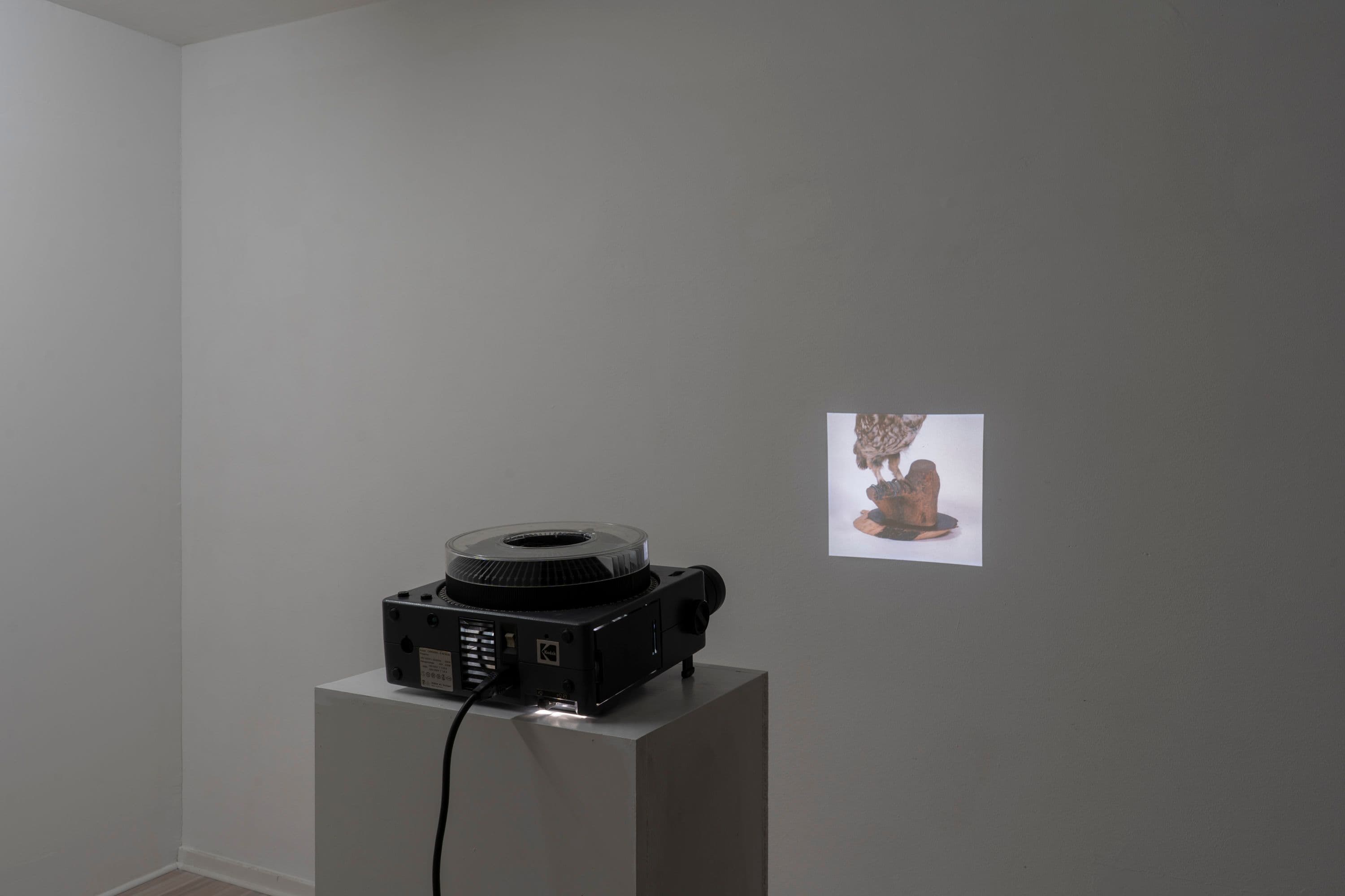 Noémie Degen/Simon Jaton, Chiara Simion, Richard Sides, Robert Pillenstein, Simone Nieweg @ Rinde am Rhein