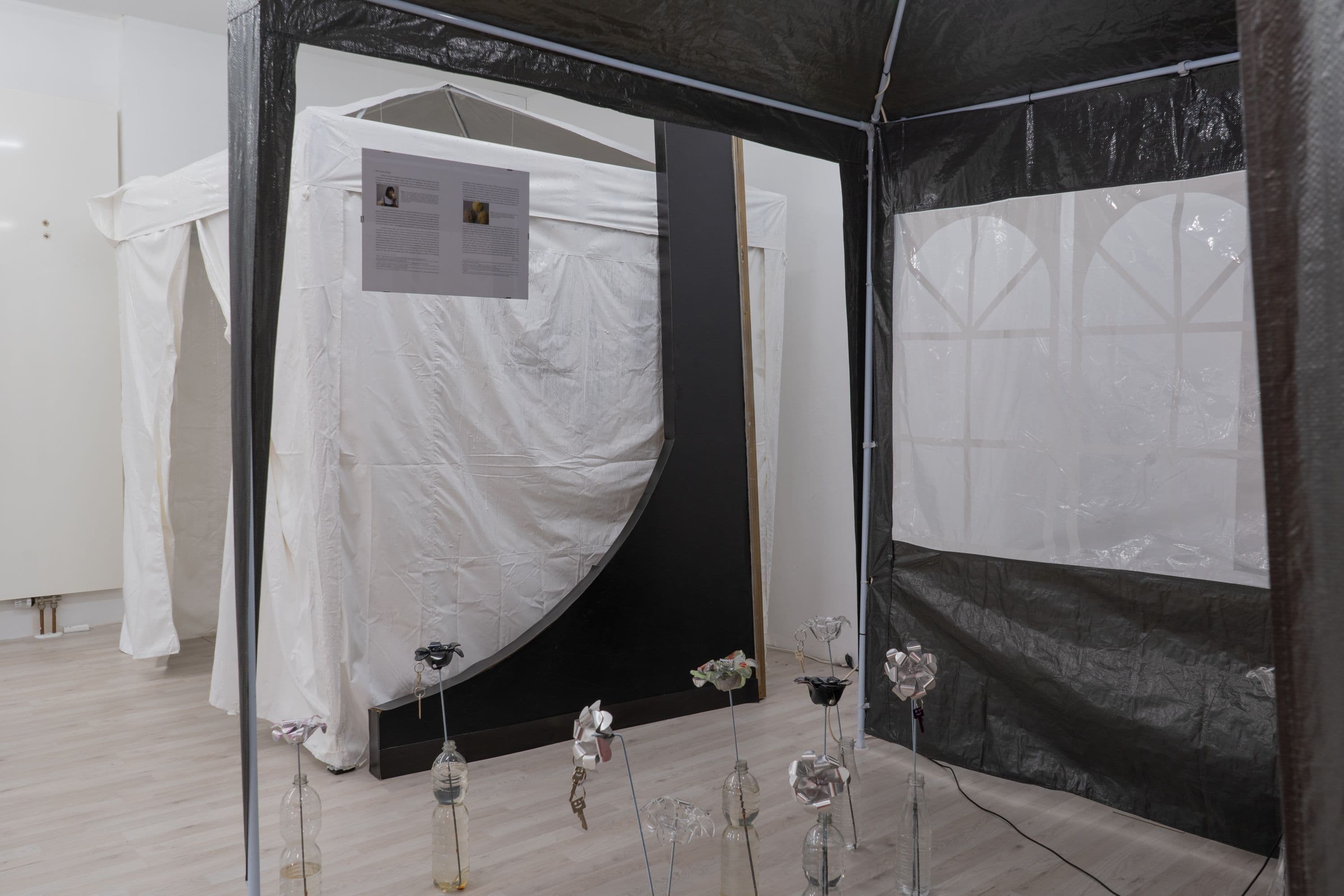 La Biennale @ Rinde am Rhein