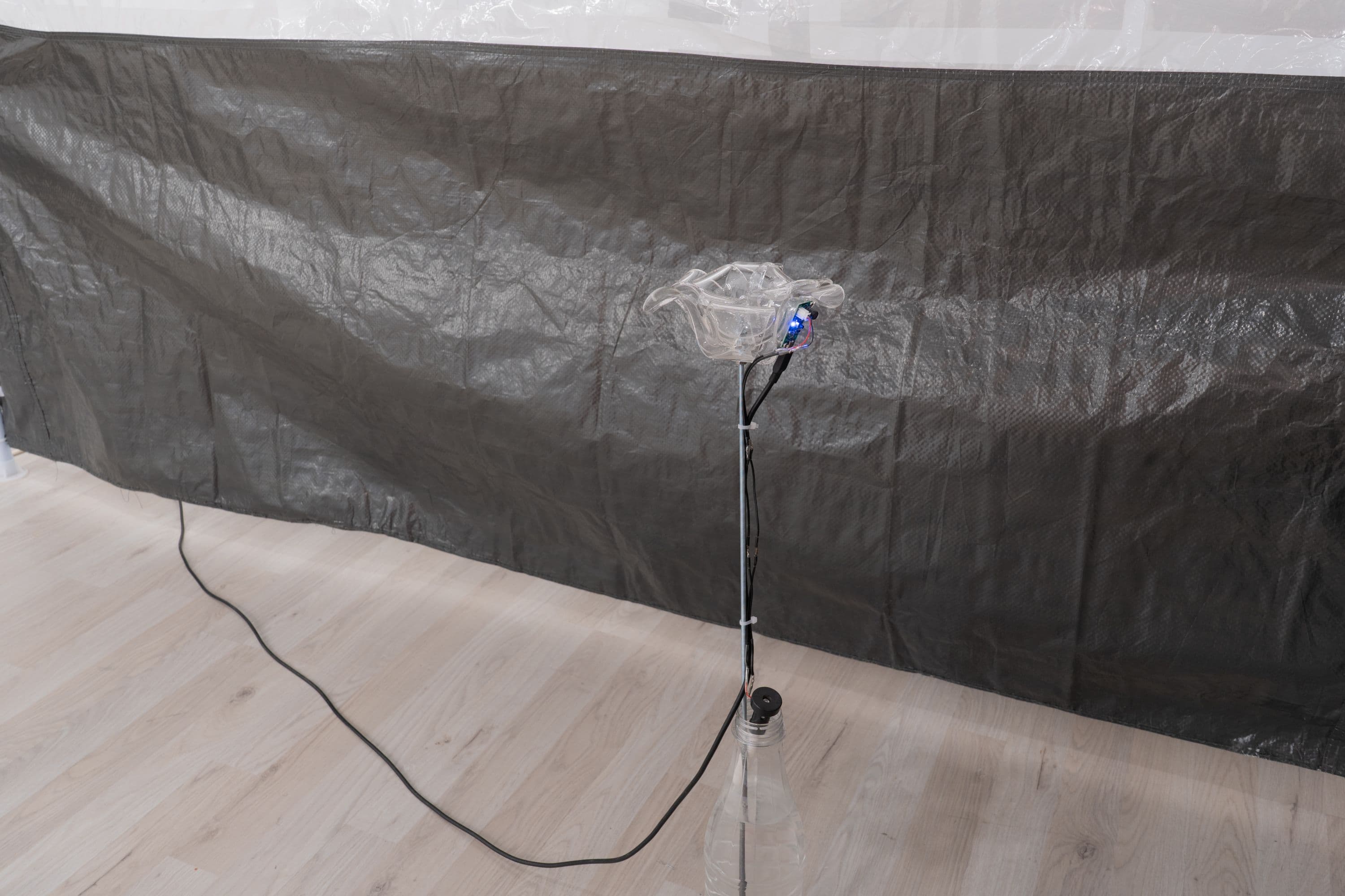 La Biennale @ Rinde am Rhein