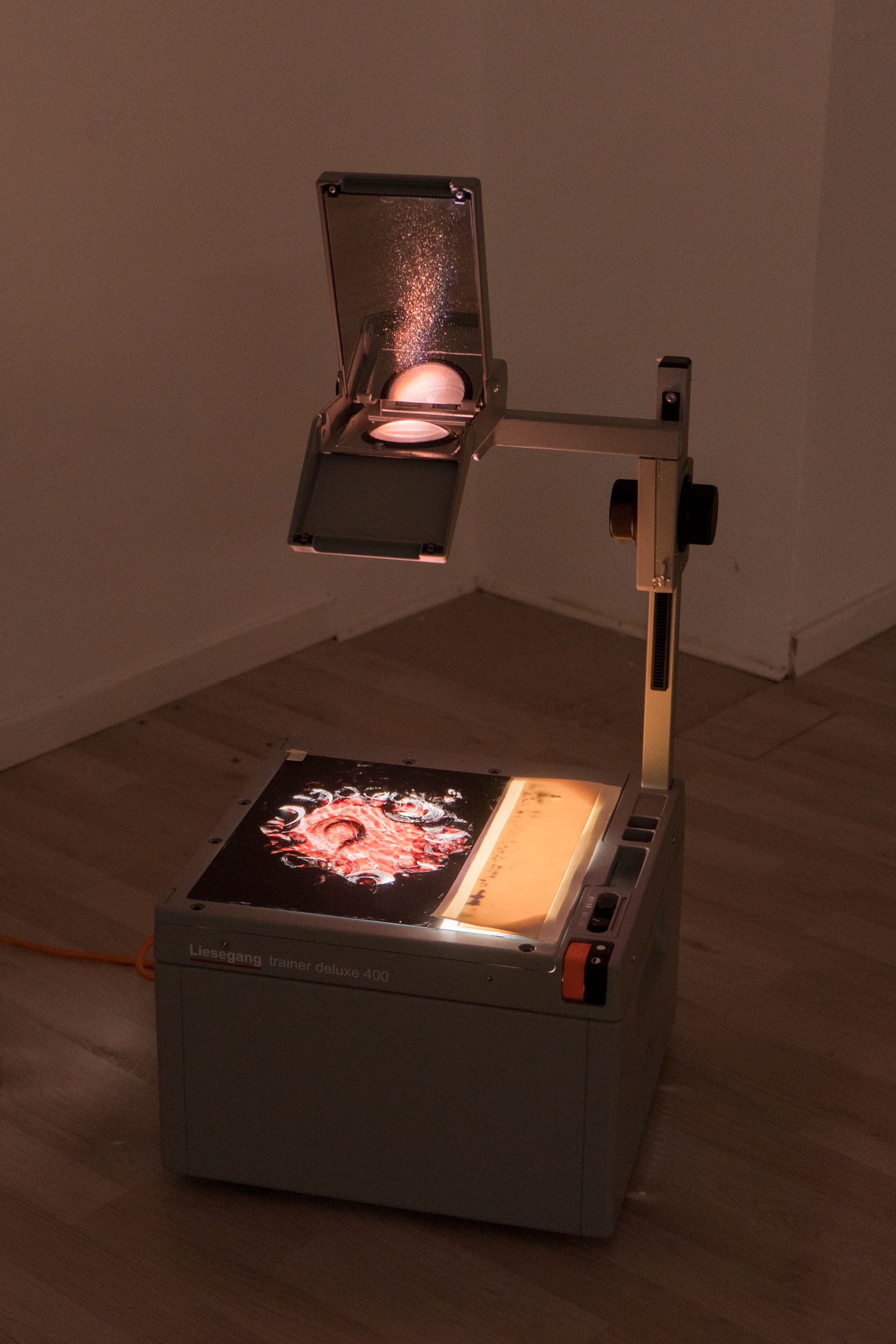 Group Show @ Rinde am Rhein