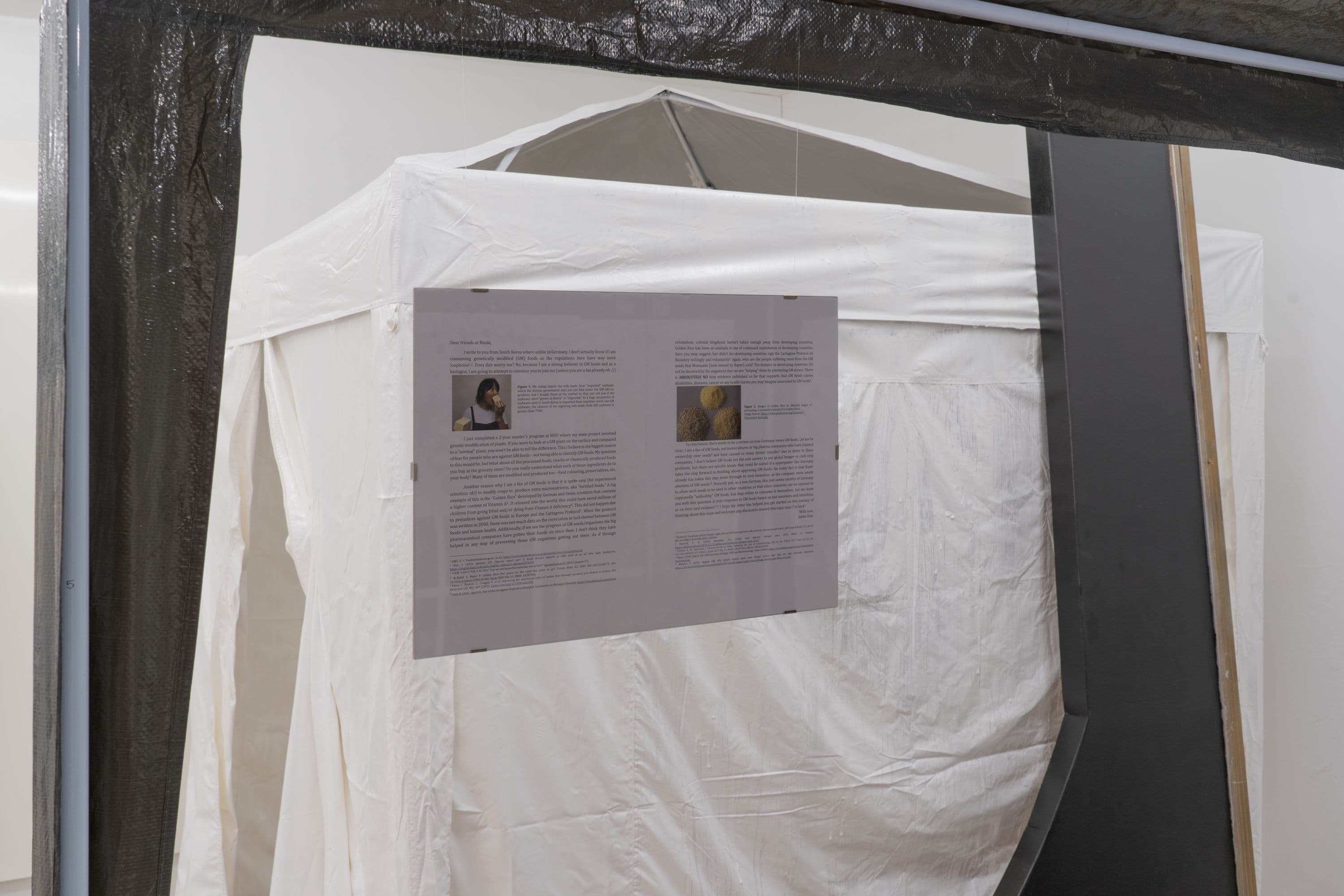 La Biennale @ Rinde am Rhein