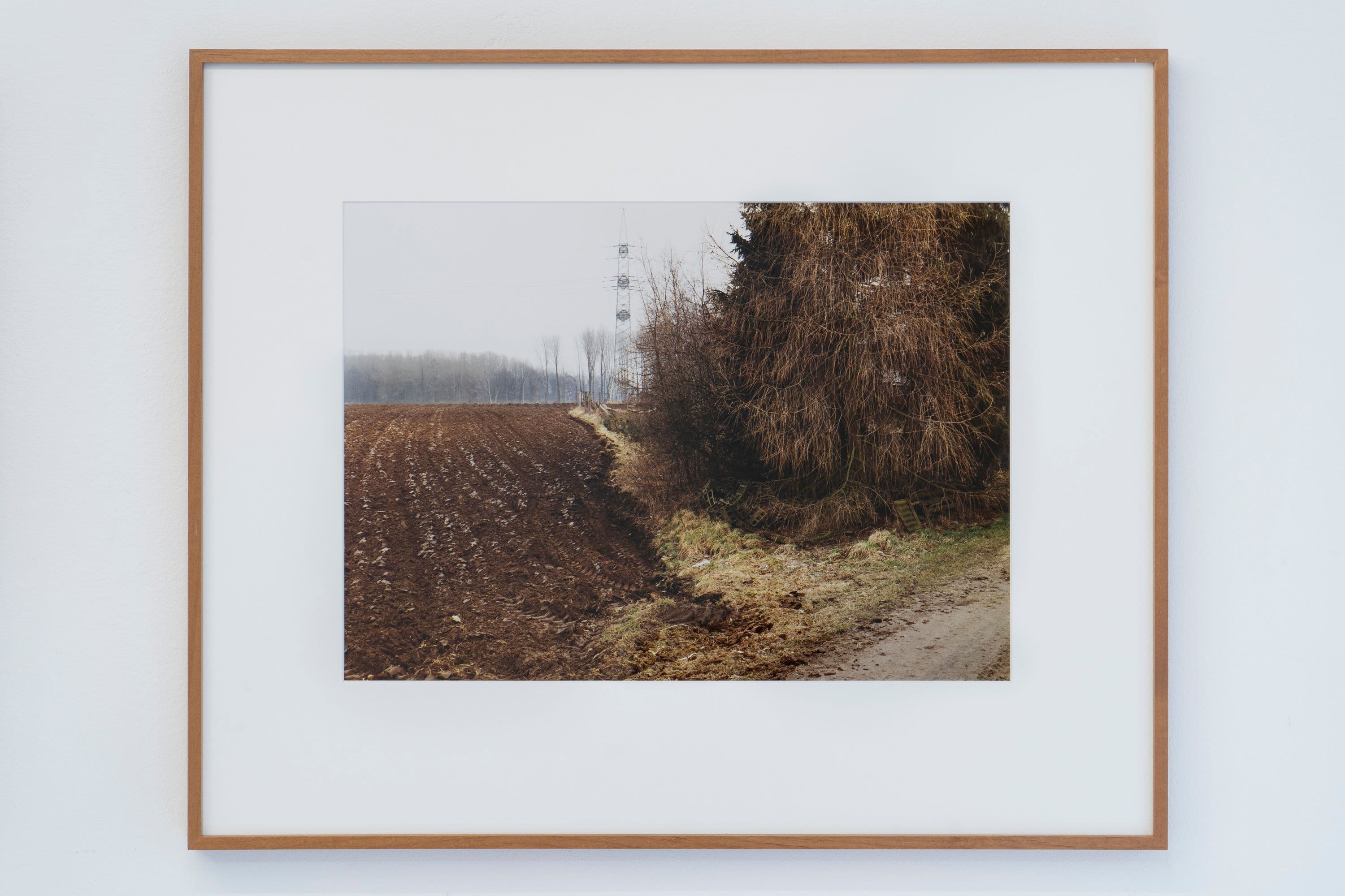 Noémie Degen/Simon Jaton, Chiara Simion, Richard Sides, Robert Pillenstein, Simone Nieweg @ Rinde am Rhein