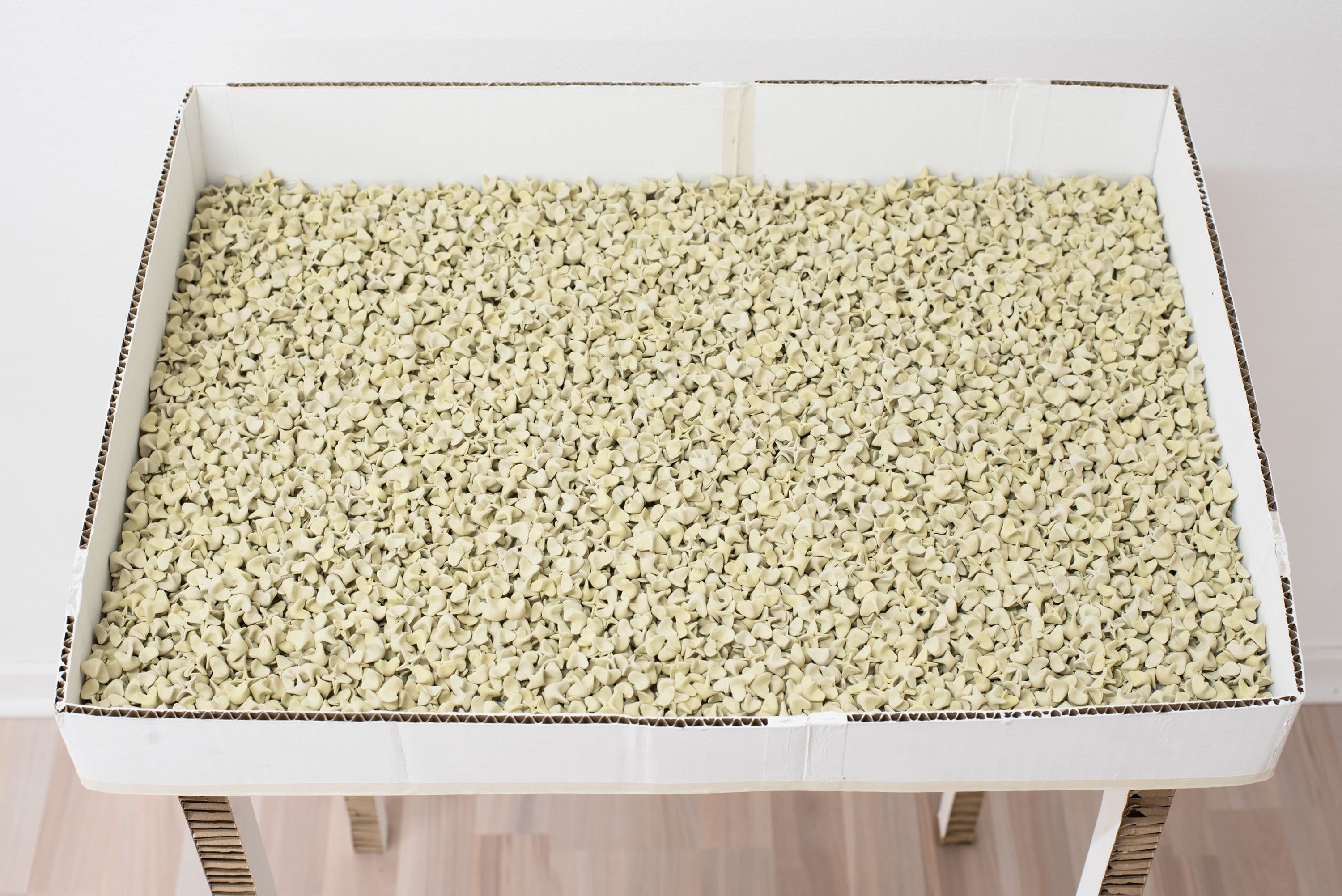 Florian Moldan @ Rinde am Rhein