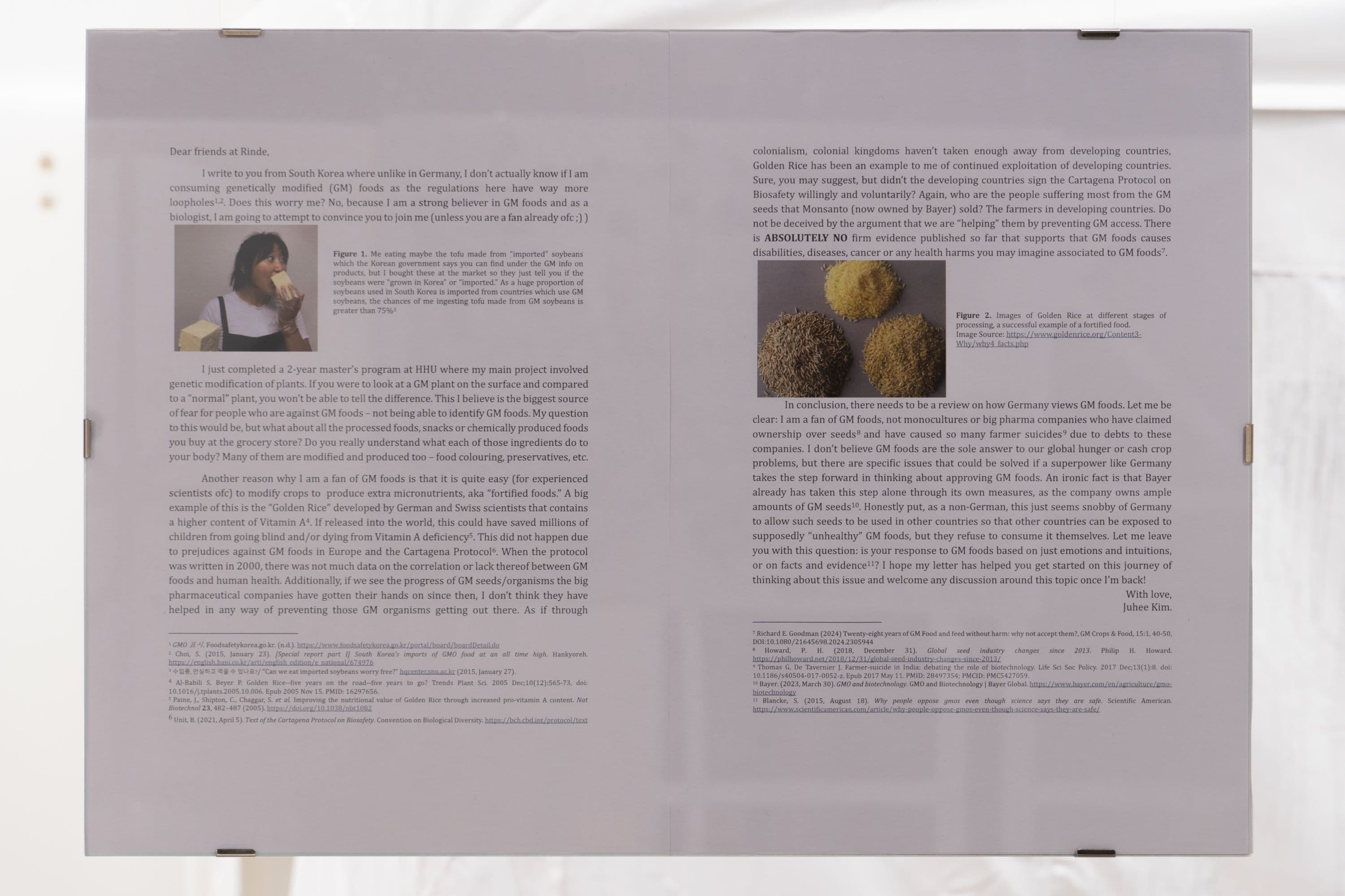 La Biennale @ Rinde am Rhein