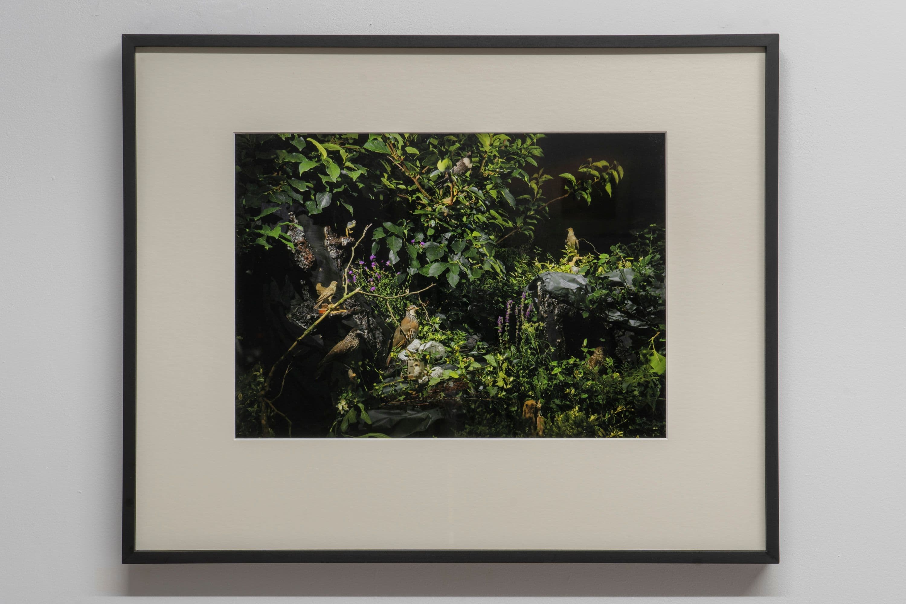 Noémie Degen/Simon Jaton, Chiara Simion, Richard Sides, Robert Pillenstein, Simone Nieweg @ Rinde am Rhein