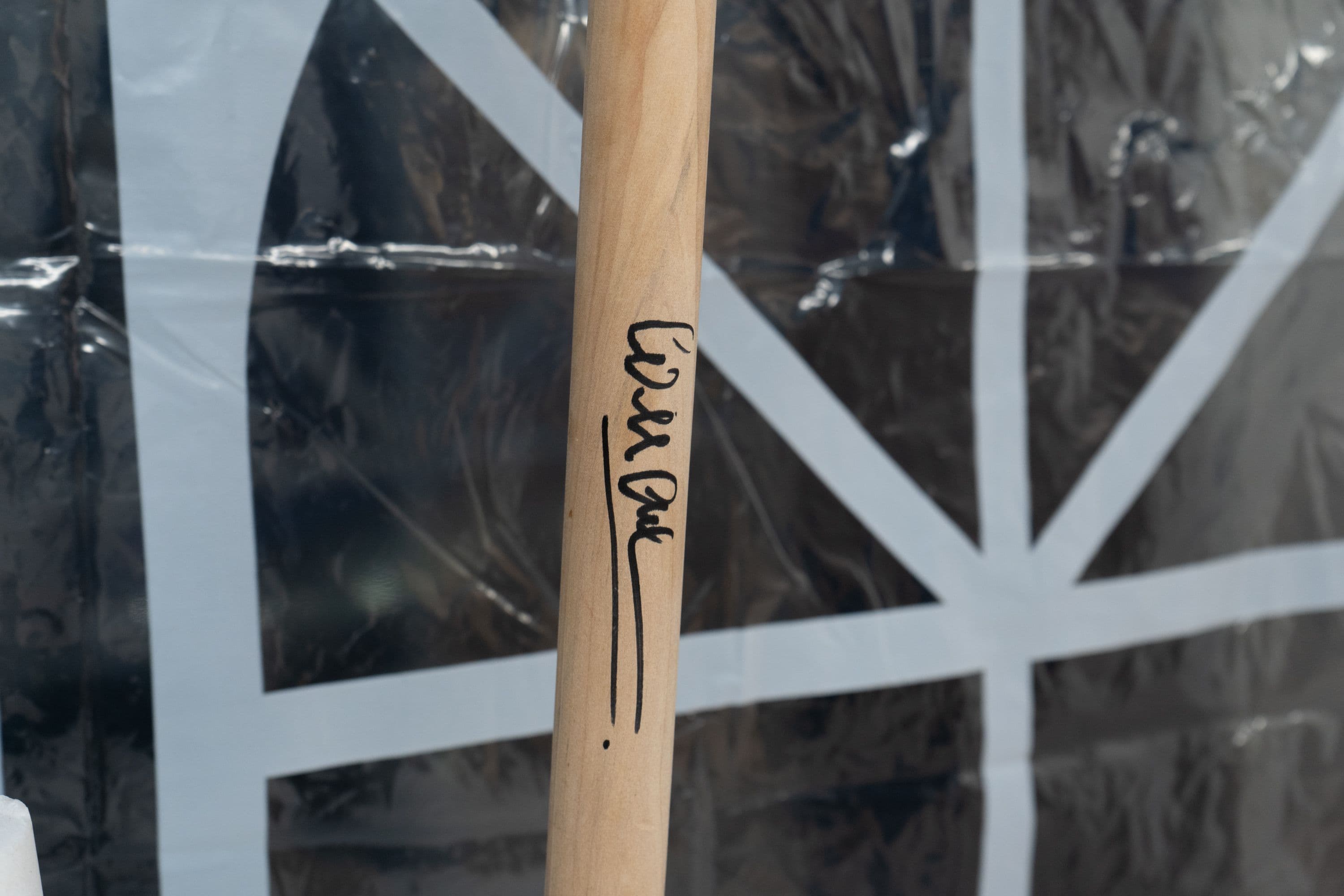 La Biennale @ Rinde am Rhein