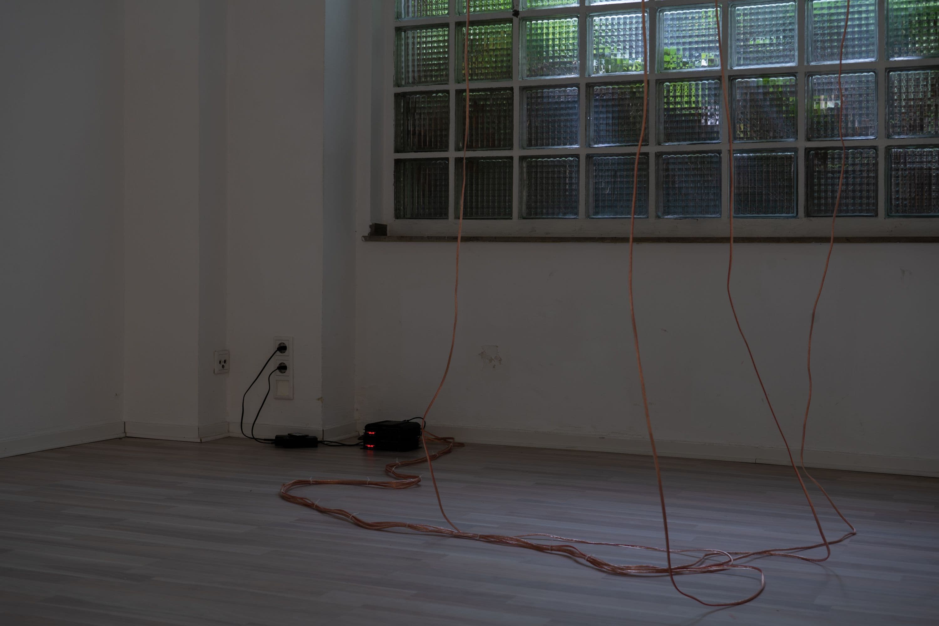 Anita Esfandiari, Sepideh Zamani and Zishi Han @ Rinde am Rhein