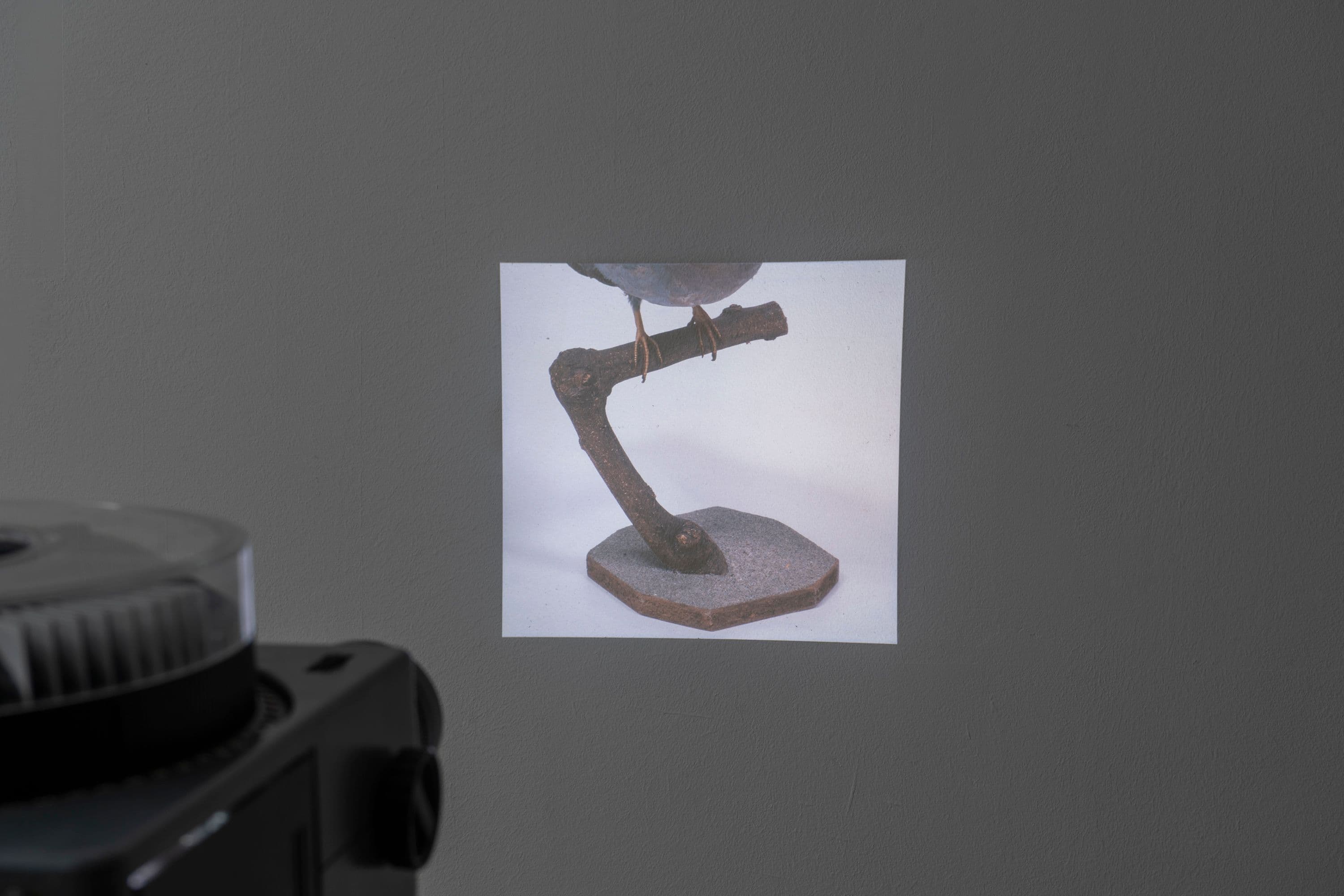 Noémie Degen/Simon Jaton, Chiara Simion, Richard Sides, Robert Pillenstein, Simone Nieweg @ Rinde am Rhein