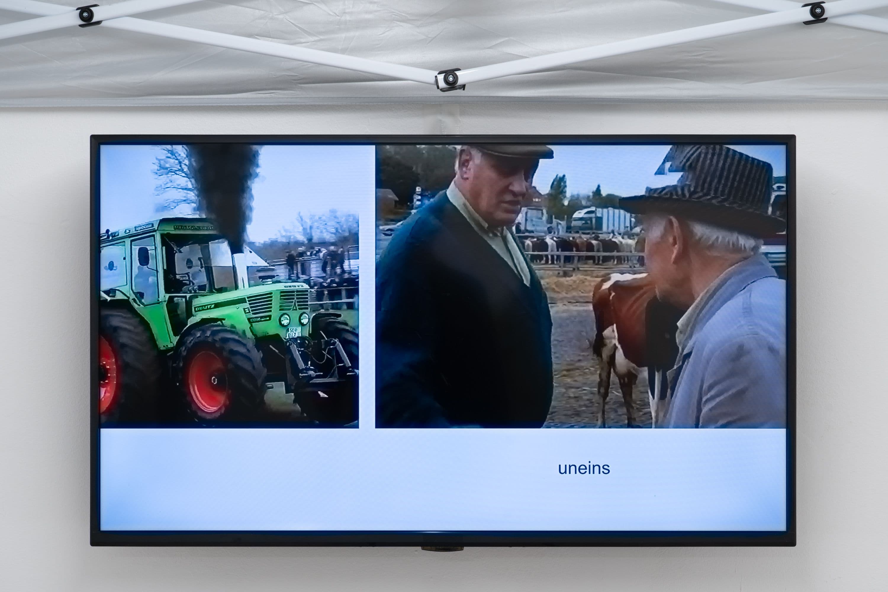 La Biennale @ Rinde am Rhein