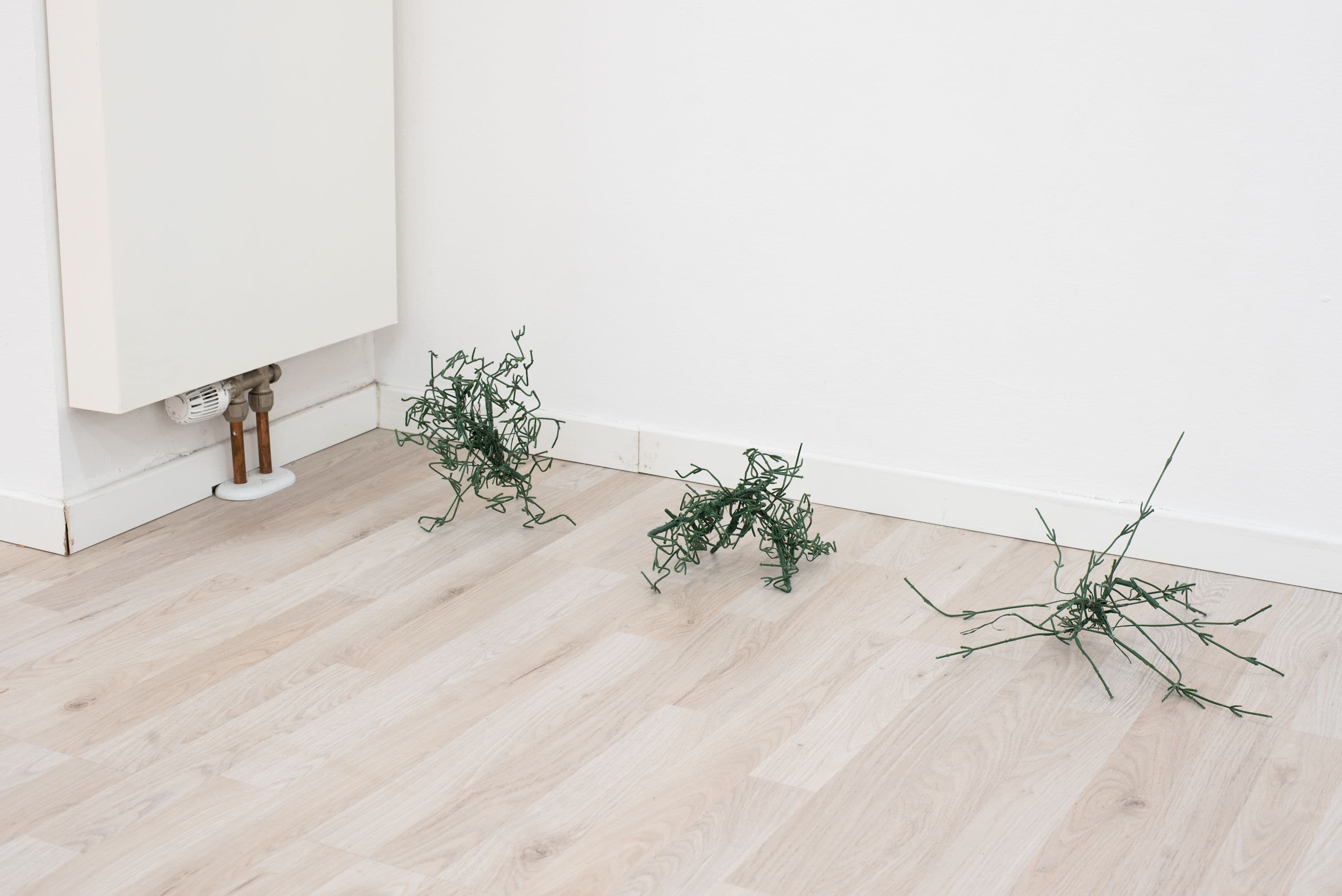 Florian Moldan @ Rinde am Rhein