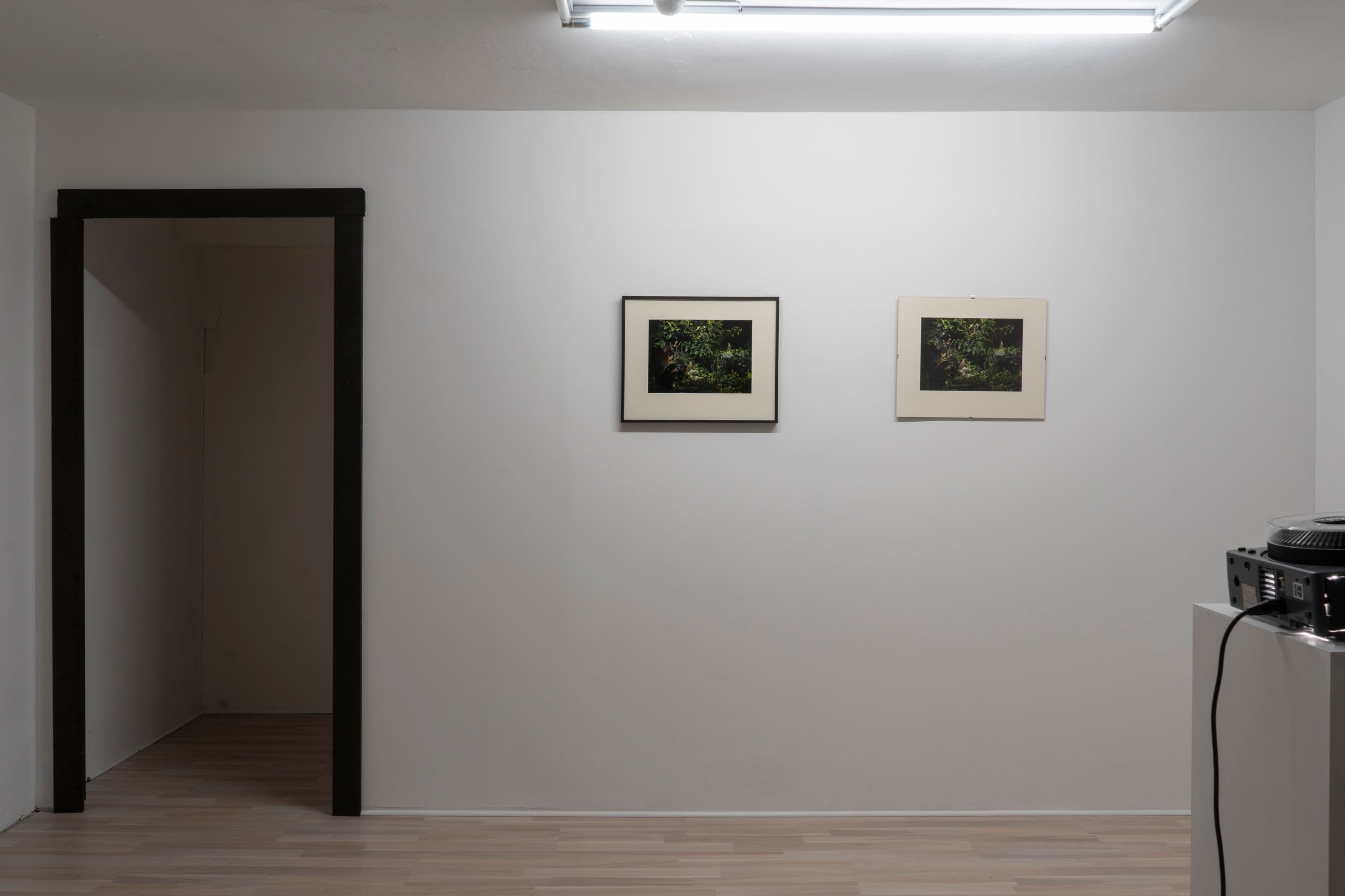 Noémie Degen/Simon Jaton, Chiara Simion, Richard Sides, Robert Pillenstein, Simone Nieweg @ Rinde am Rhein