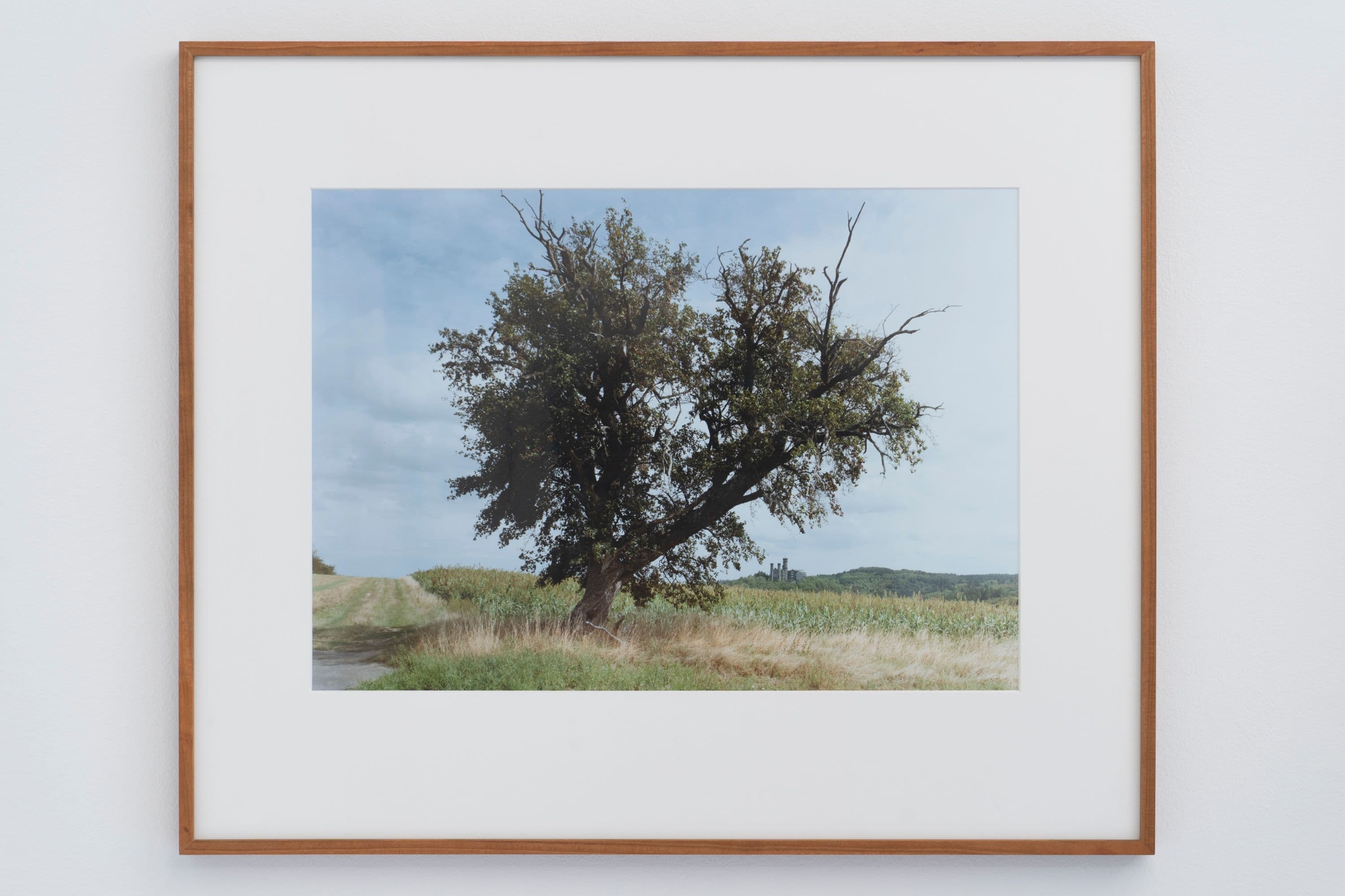 Noémie Degen/Simon Jaton, Chiara Simion, Richard Sides, Robert Pillenstein, Simone Nieweg @ Rinde am Rhein