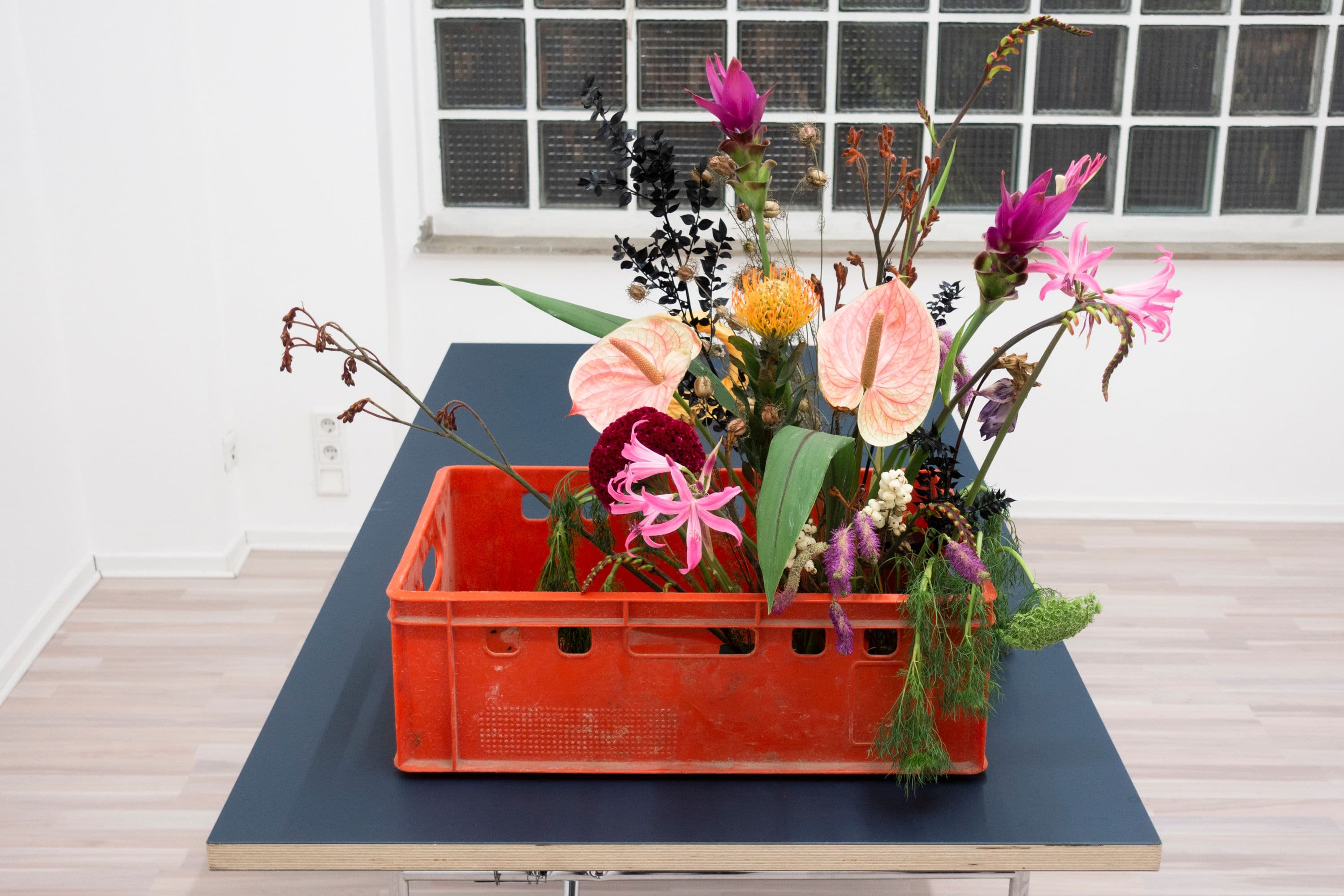 Florian Moldan @ Rinde am Rhein