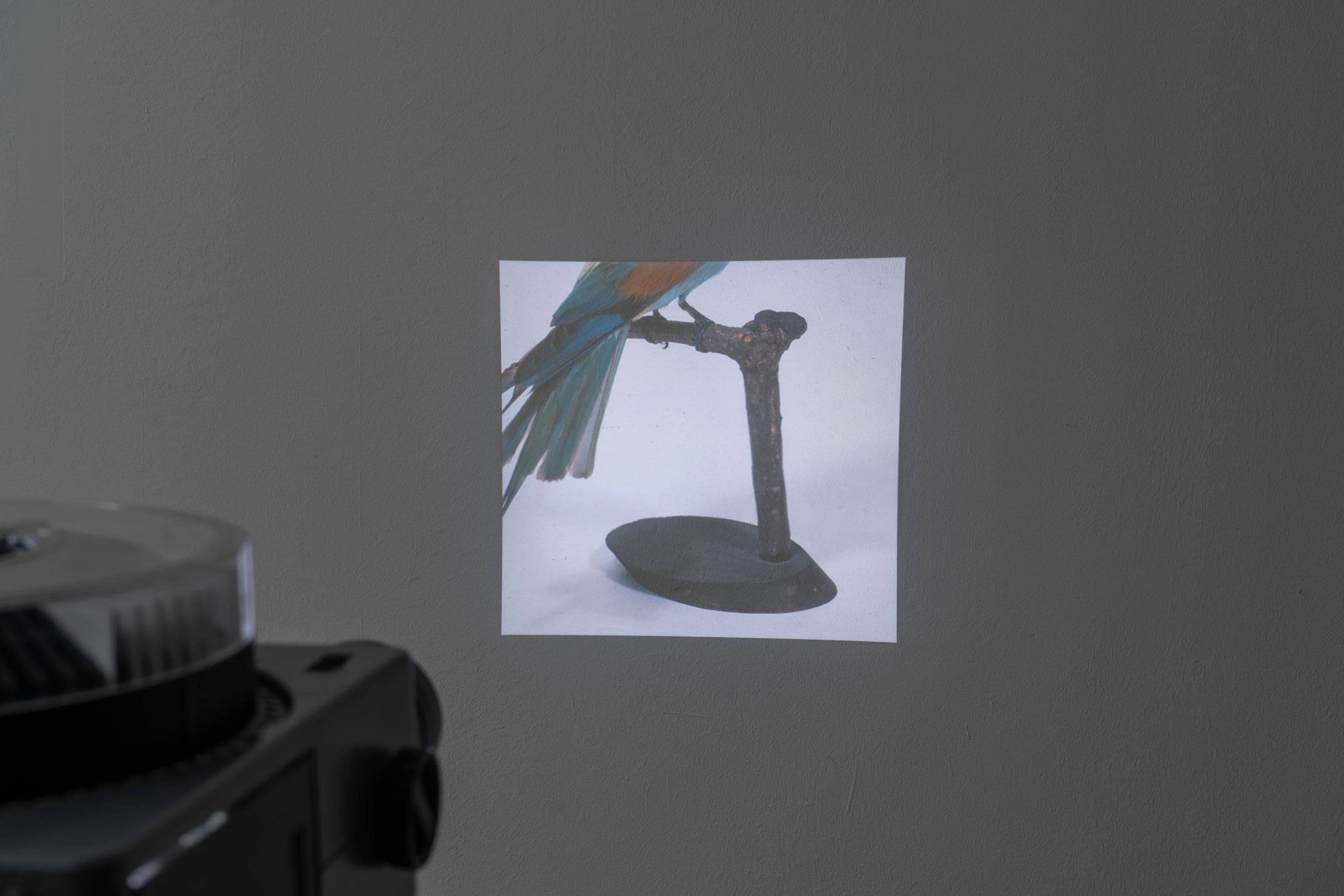 Noémie Degen/Simon Jaton, Chiara Simion, Richard Sides, Robert Pillenstein, Simone Nieweg @ Rinde am Rhein