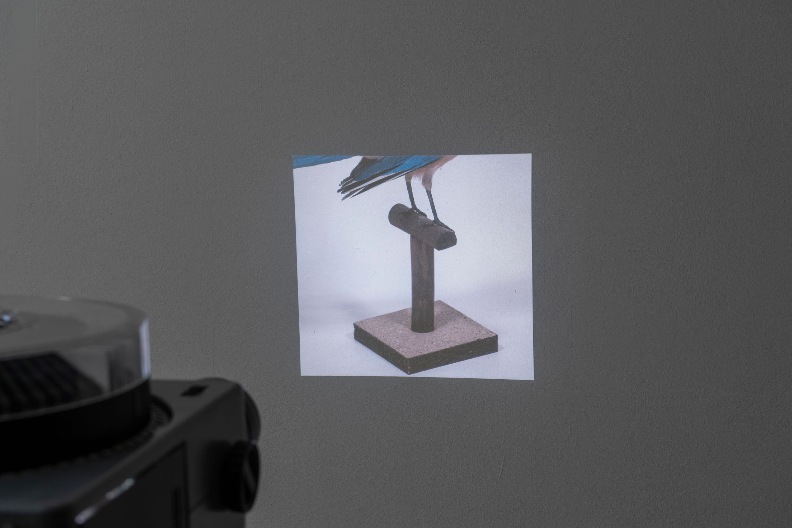 Noémie Degen/Simon Jaton, Chiara Simion, Richard Sides, Robert Pillenstein, Simone Nieweg @ Rinde am Rhein