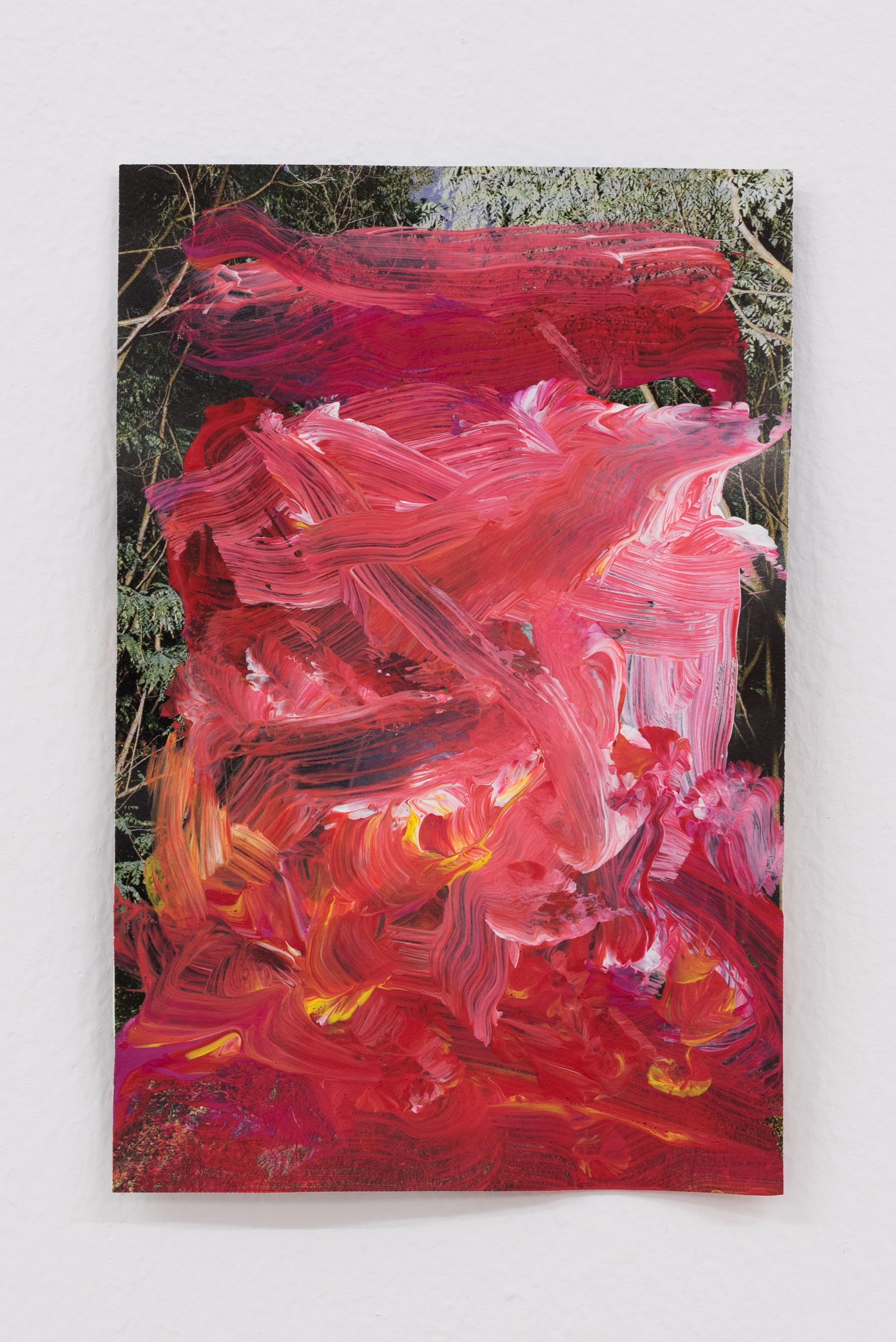 Inaugural Exhibition @ Rinde am Rhein