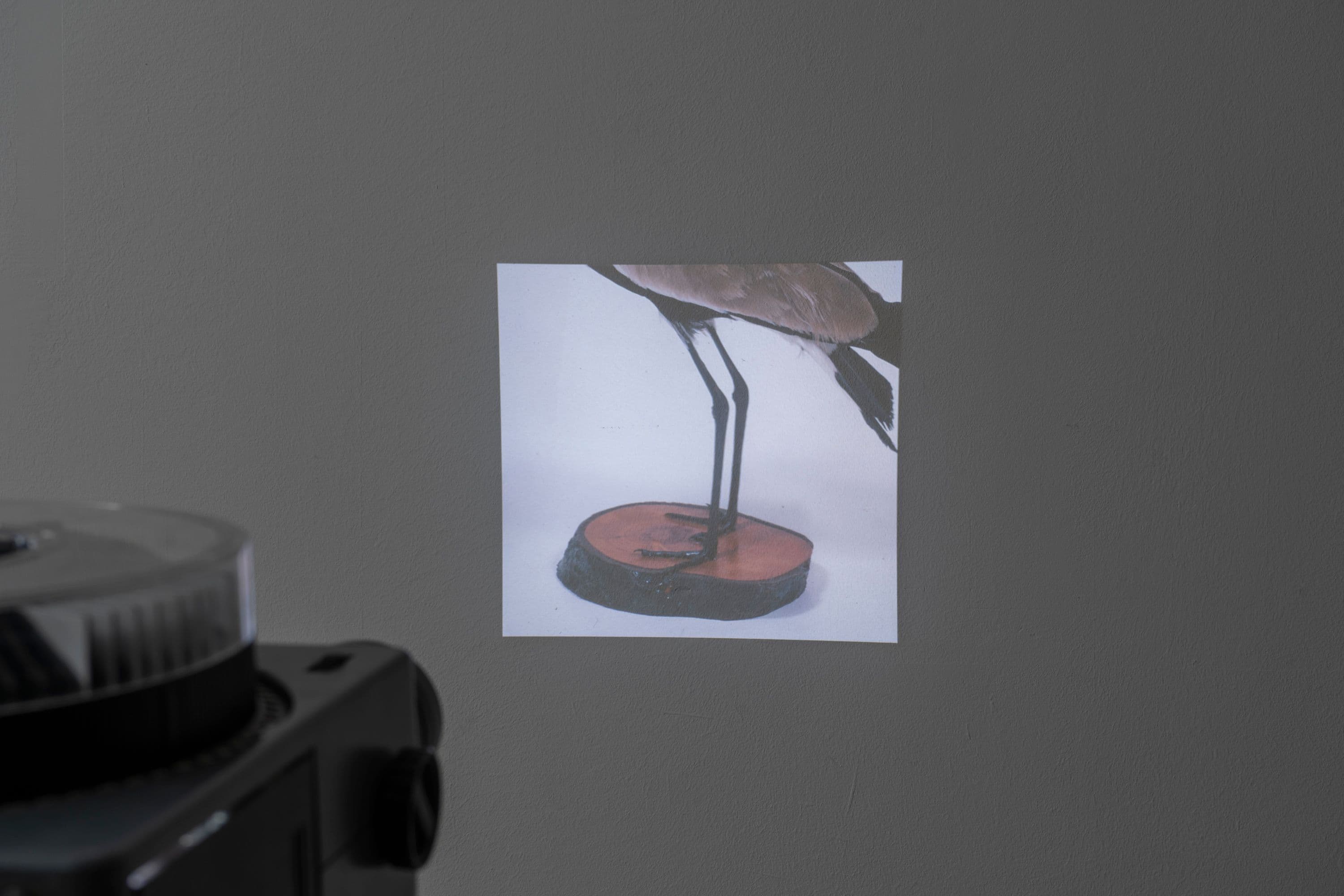 Noémie Degen/Simon Jaton, Chiara Simion, Richard Sides, Robert Pillenstein, Simone Nieweg @ Rinde am Rhein