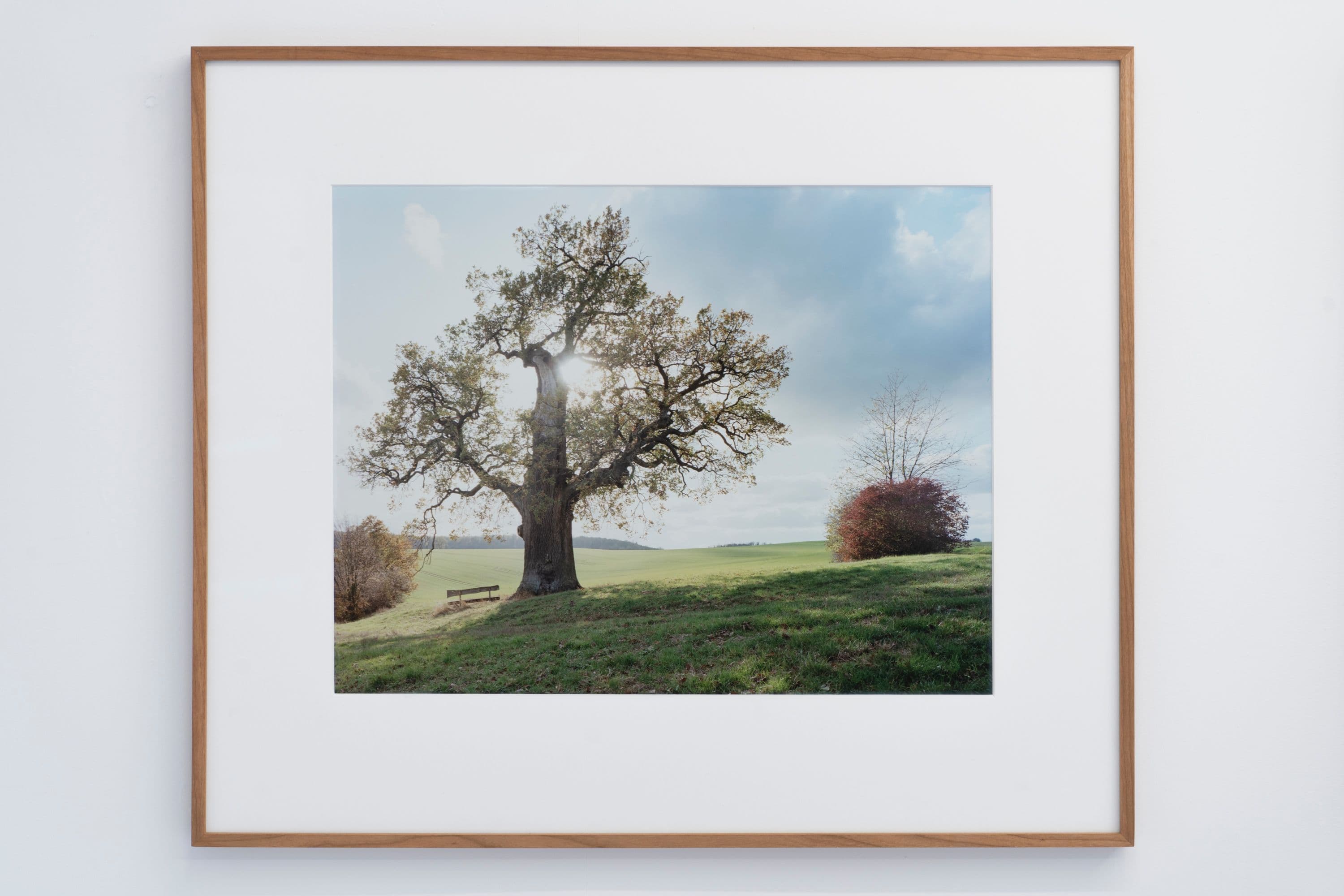 Noémie Degen/Simon Jaton, Chiara Simion, Richard Sides, Robert Pillenstein, Simone Nieweg @ Rinde am Rhein