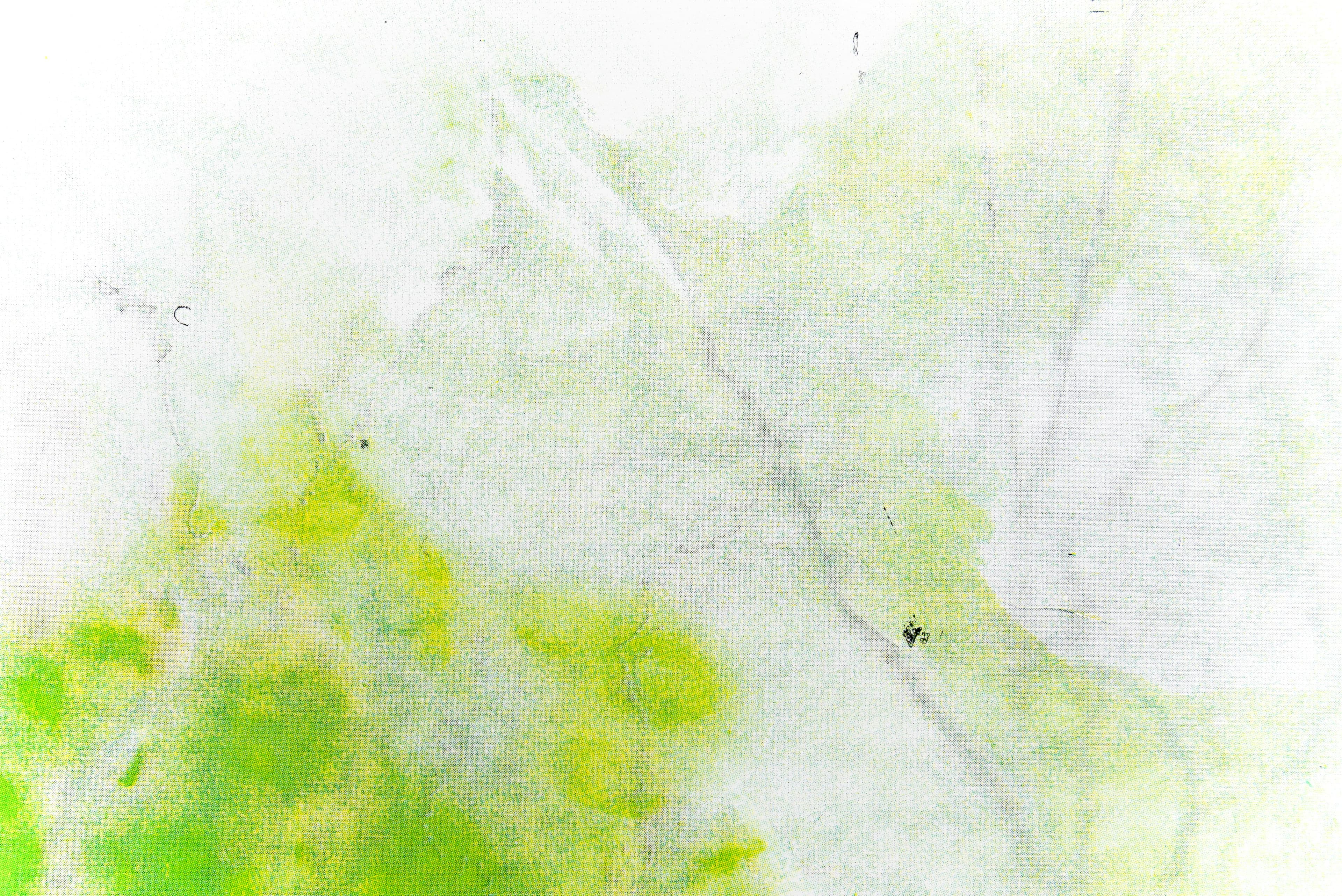 Noémie Degen/Simon Jaton, Chiara Simion, Richard Sides, Robert Pillenstein, Simone Nieweg @ Rinde am Rhein