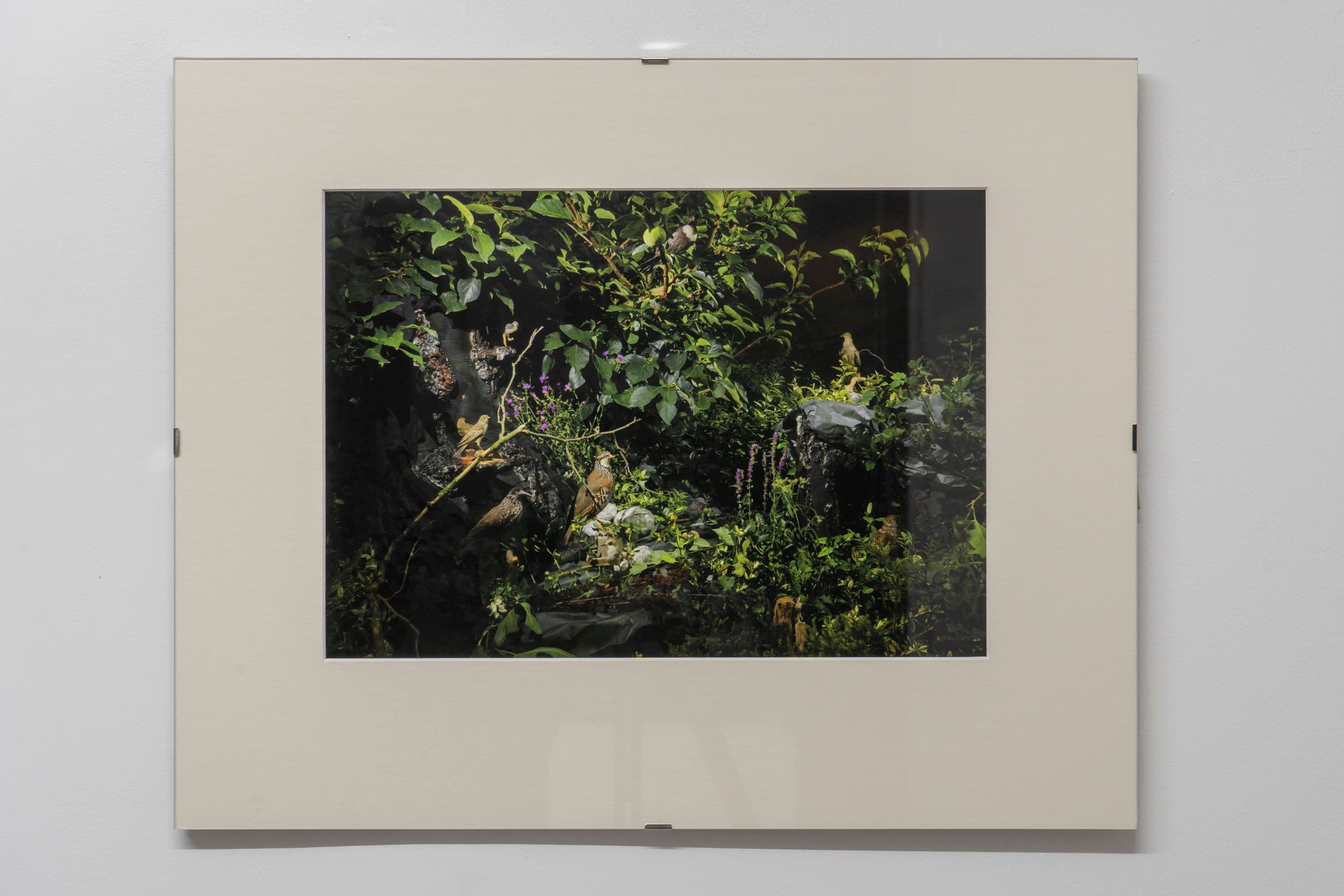 Noémie Degen/Simon Jaton, Chiara Simion, Richard Sides, Robert Pillenstein, Simone Nieweg @ Rinde am Rhein