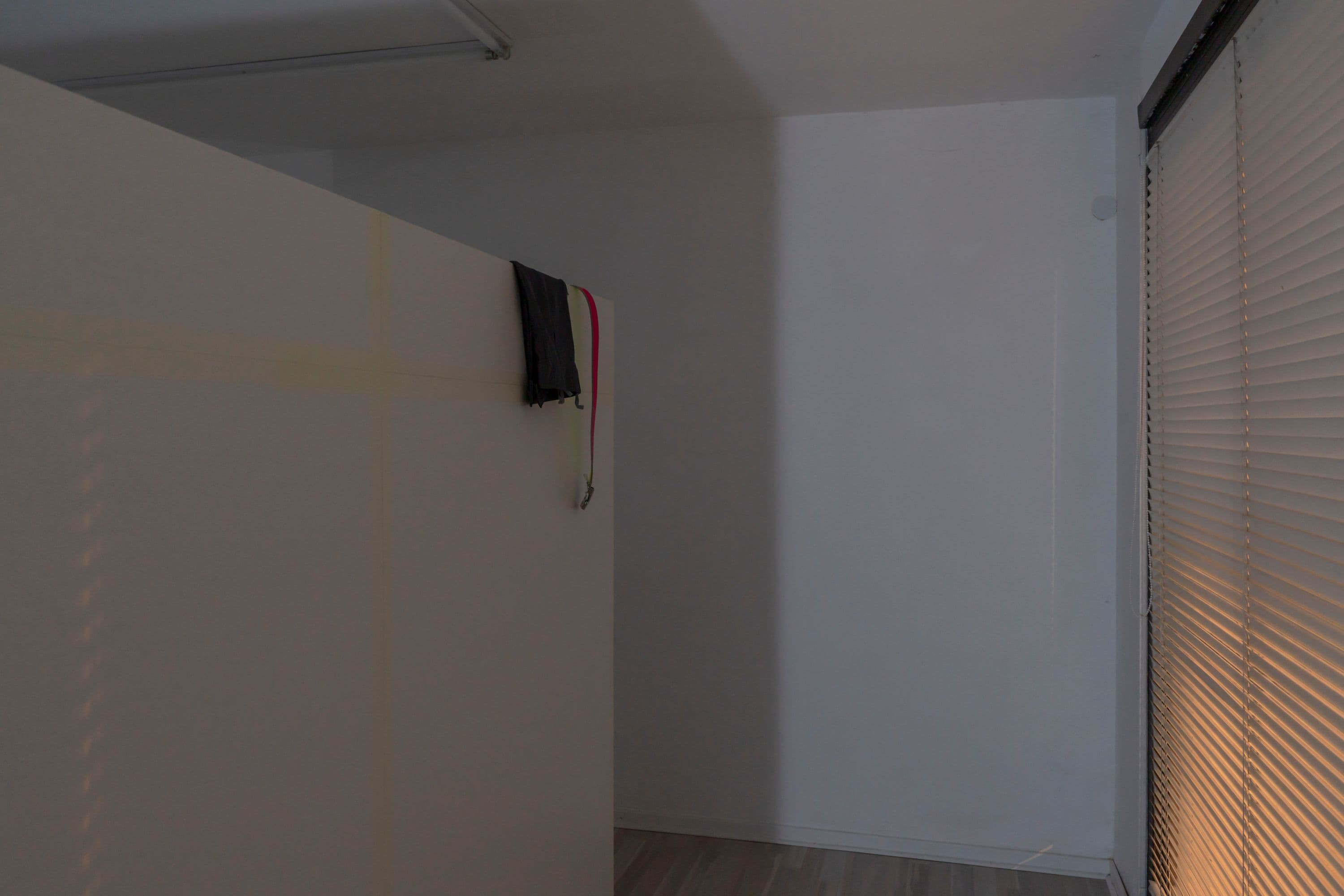 Haiqing Wang @ Rinde am Rhein