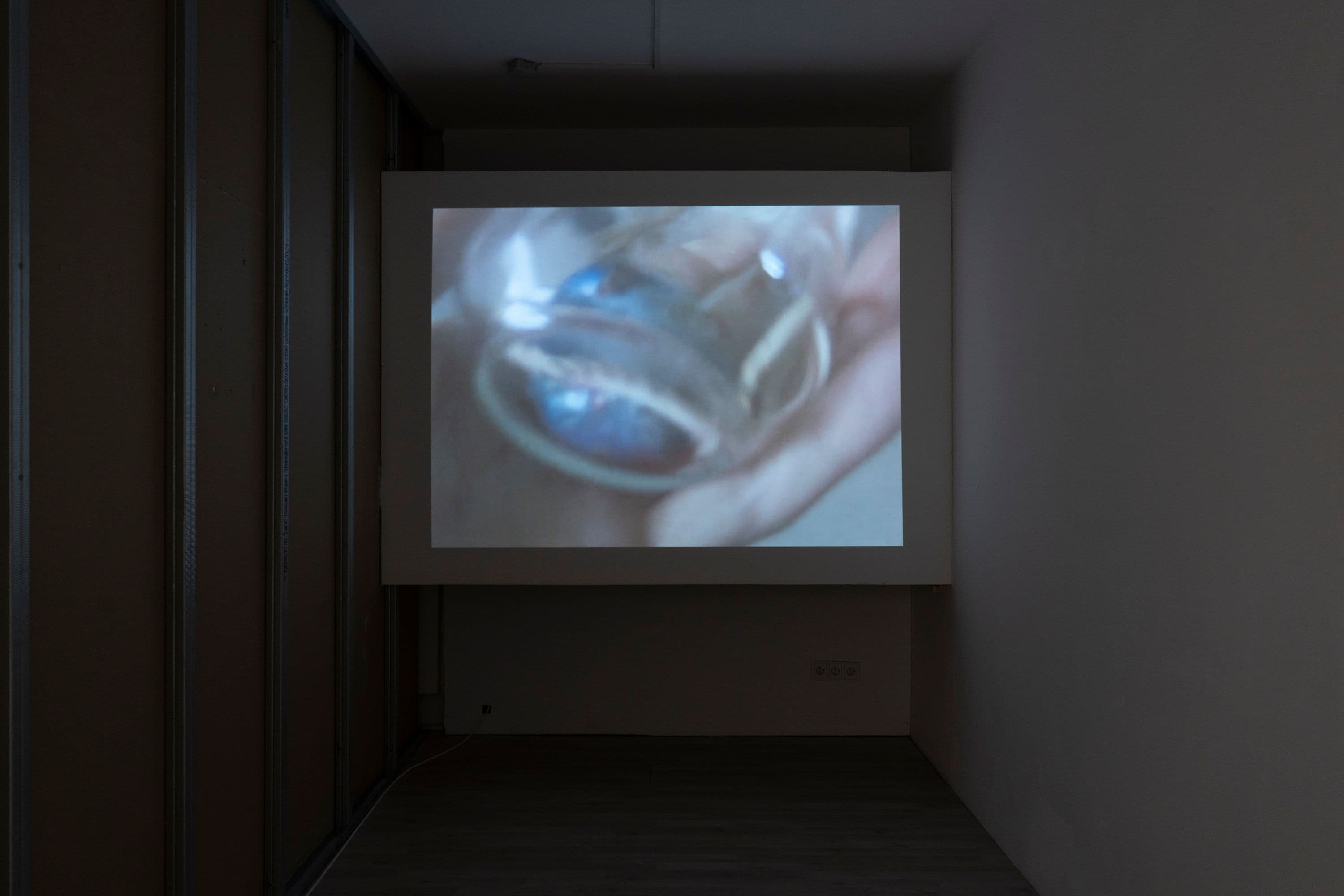 Kei Murata & Reiji Saito @ Rinde am Rhein