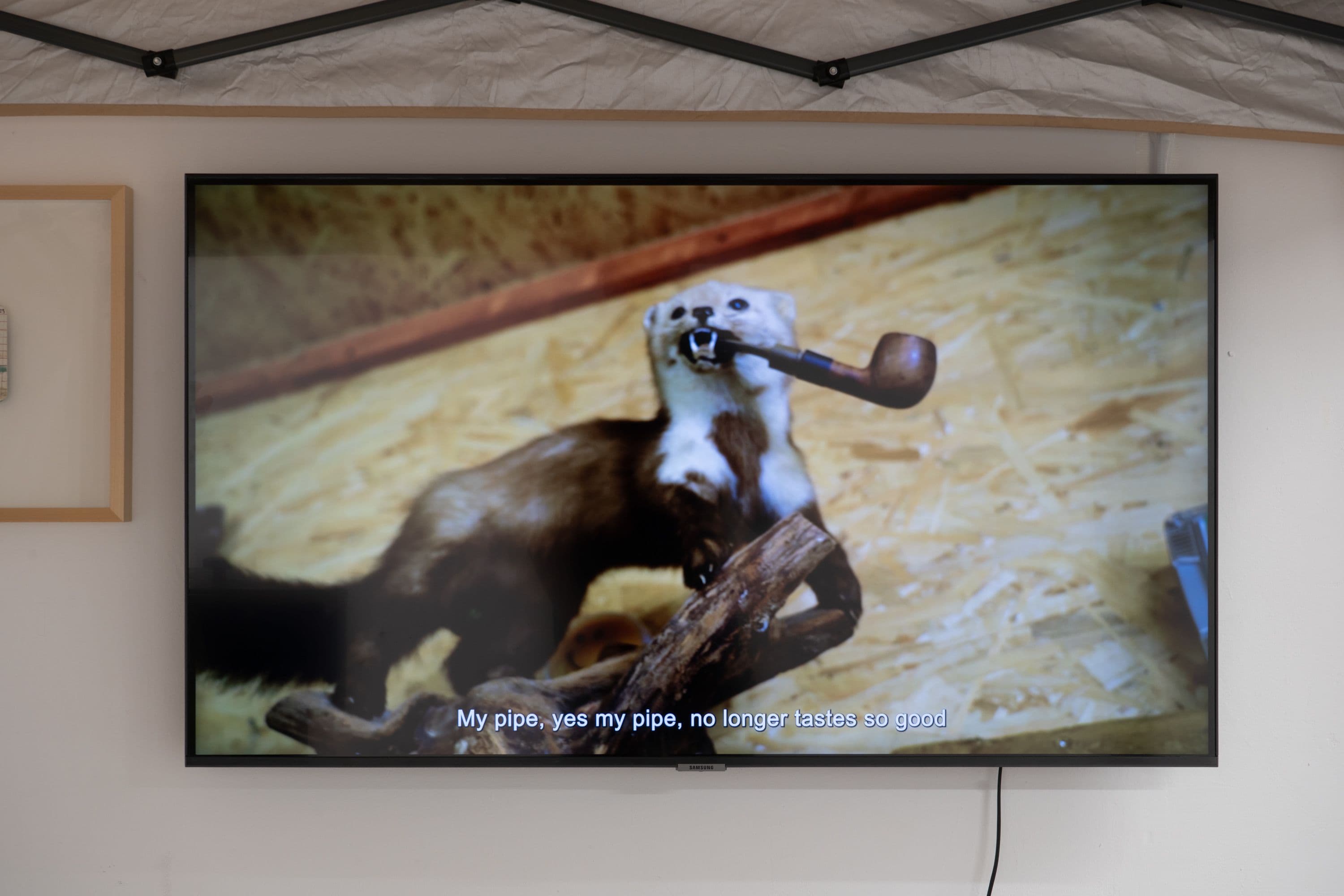 La Biennale @ Rinde am Rhein