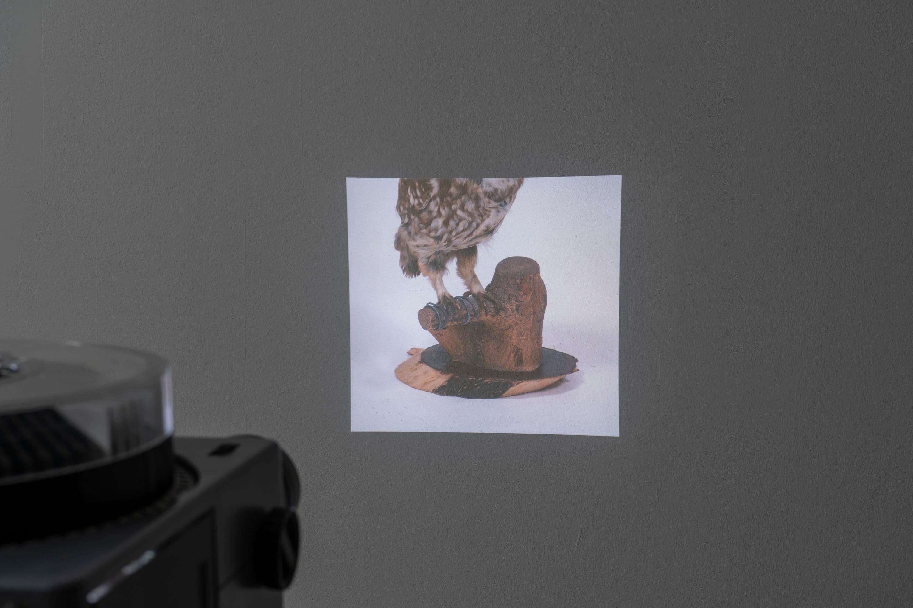 Noémie Degen/Simon Jaton, Chiara Simion, Richard Sides, Robert Pillenstein, Simone Nieweg @ Rinde am Rhein