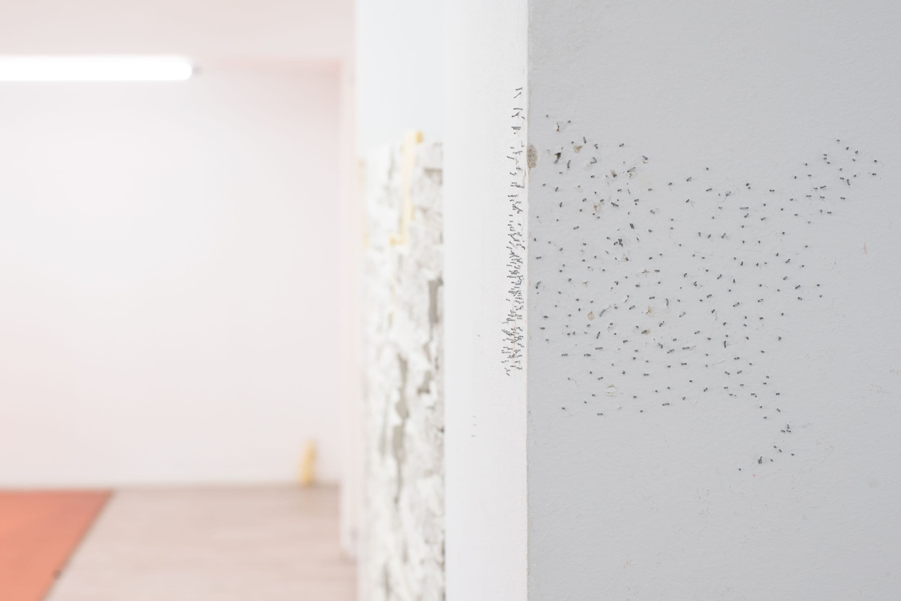 Florian Moldan @ Rinde am Rhein