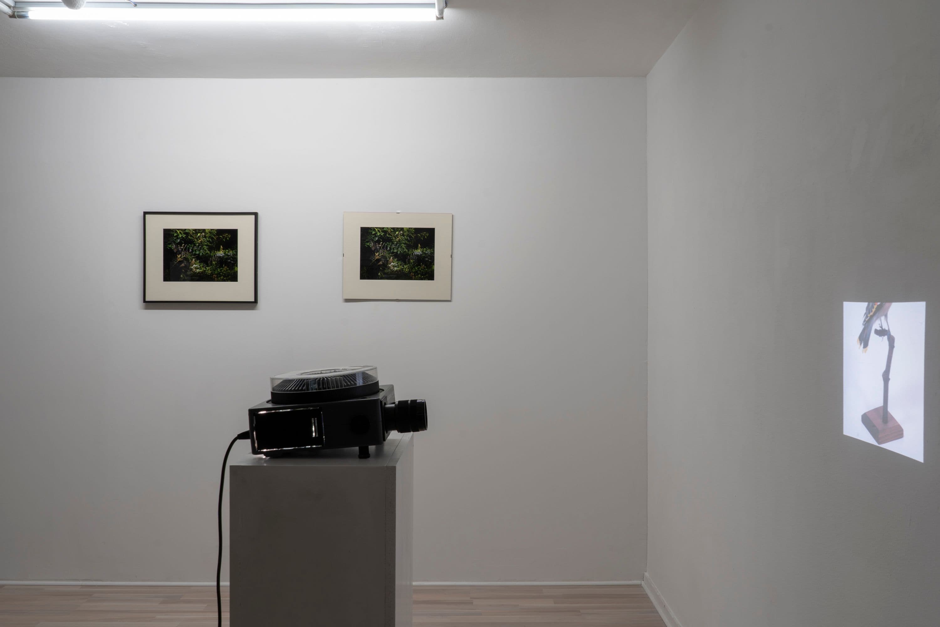 Noémie Degen/Simon Jaton, Chiara Simion, Richard Sides, Robert Pillenstein, Simone Nieweg @ Rinde am Rhein