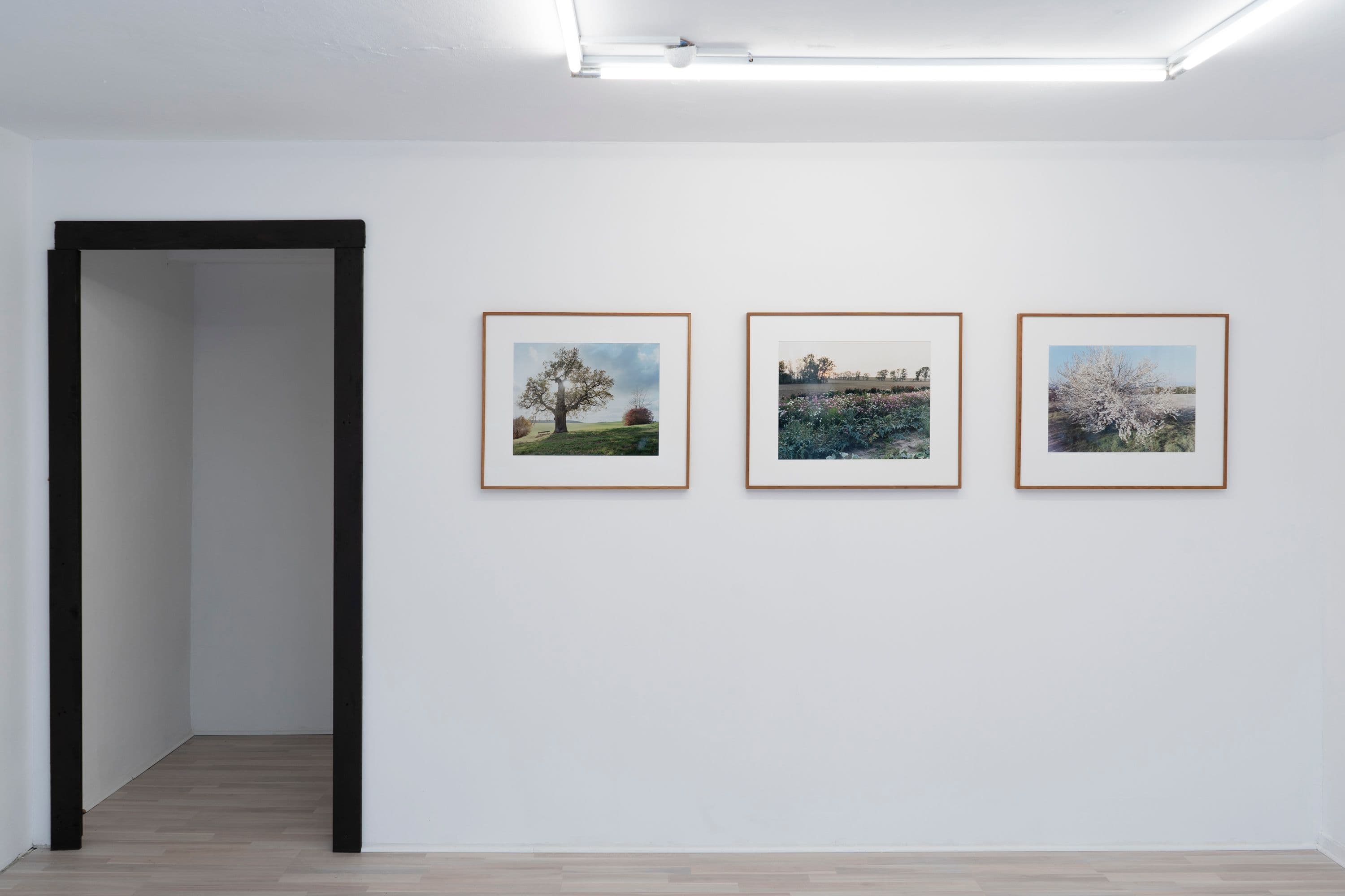 Noémie Degen/Simon Jaton, Chiara Simion, Richard Sides, Robert Pillenstein, Simone Nieweg @ Rinde am Rhein