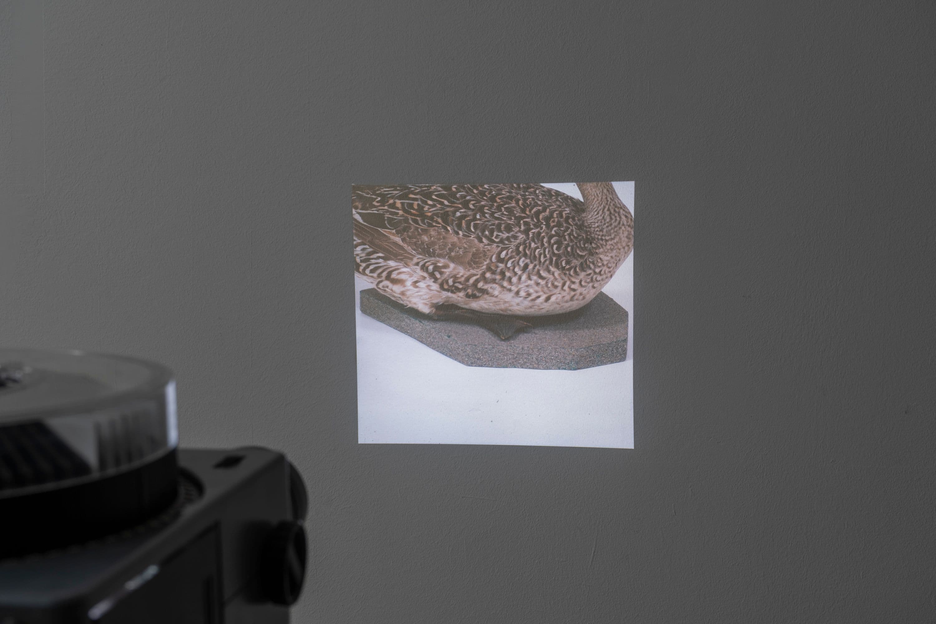 Noémie Degen/Simon Jaton, Chiara Simion, Richard Sides, Robert Pillenstein, Simone Nieweg @ Rinde am Rhein