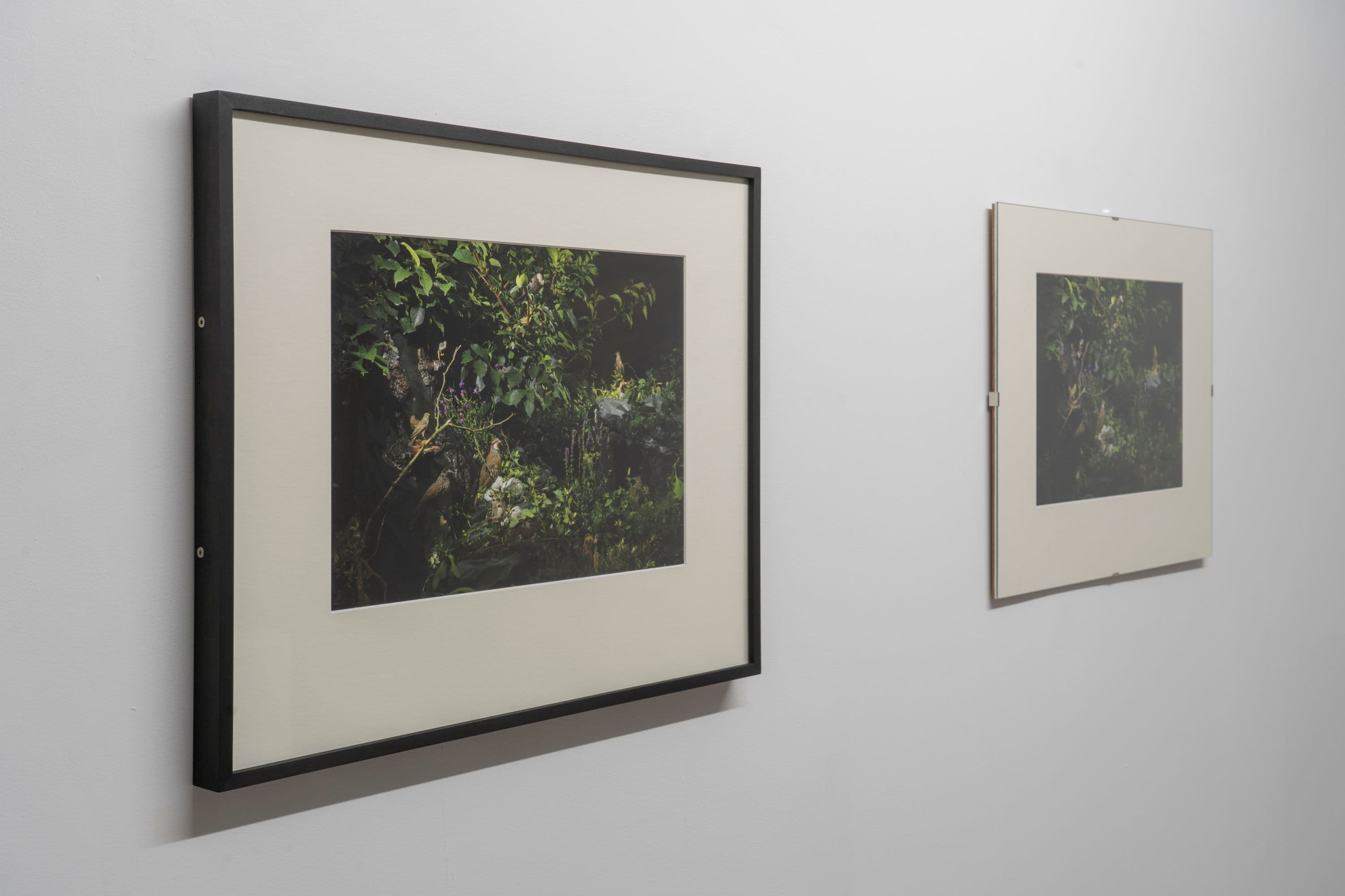 Noémie Degen/Simon Jaton, Chiara Simion, Richard Sides, Robert Pillenstein, Simone Nieweg @ Rinde am Rhein