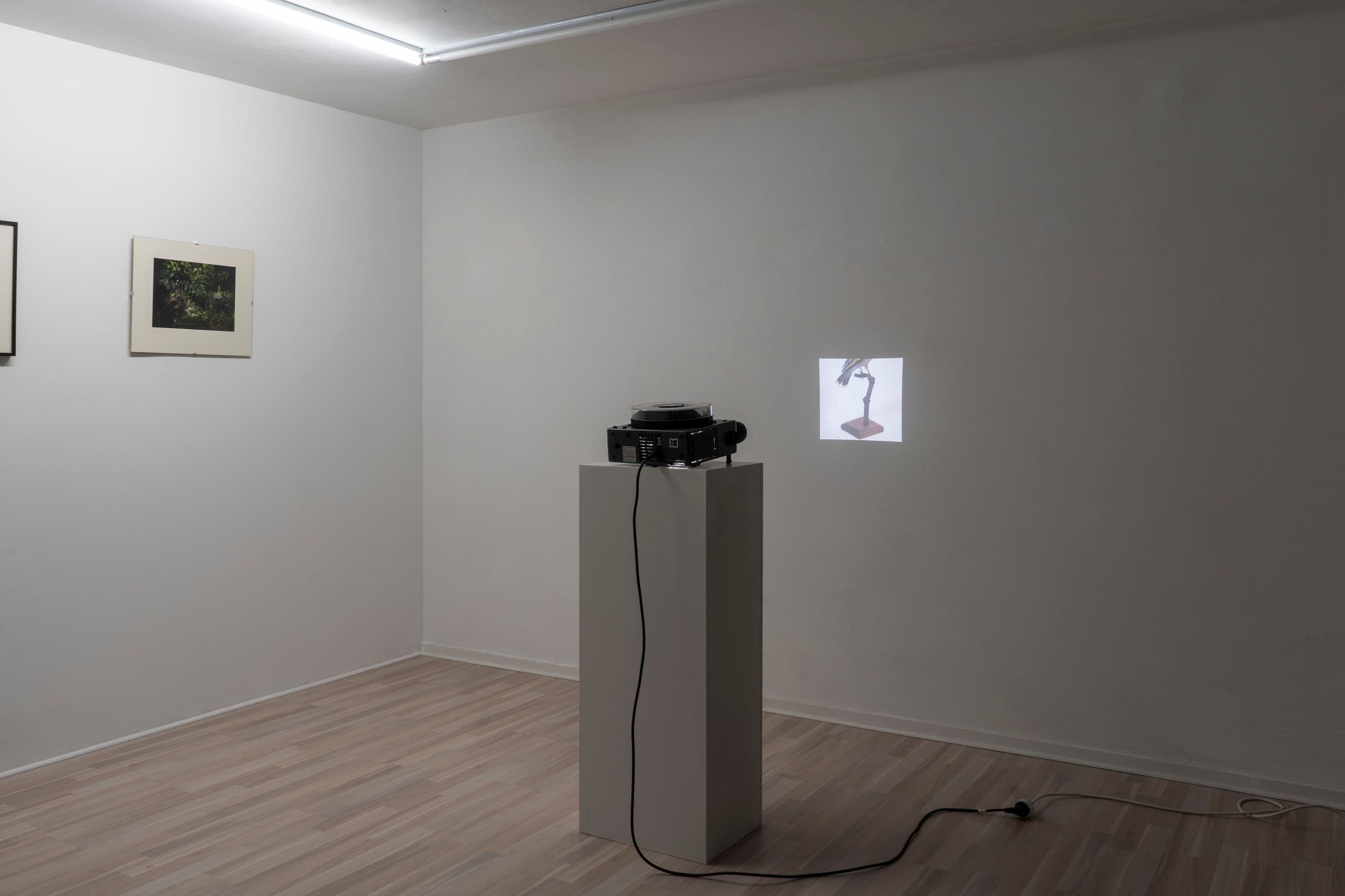 Noémie Degen/Simon Jaton, Chiara Simion, Richard Sides, Robert Pillenstein, Simone Nieweg @ Rinde am Rhein