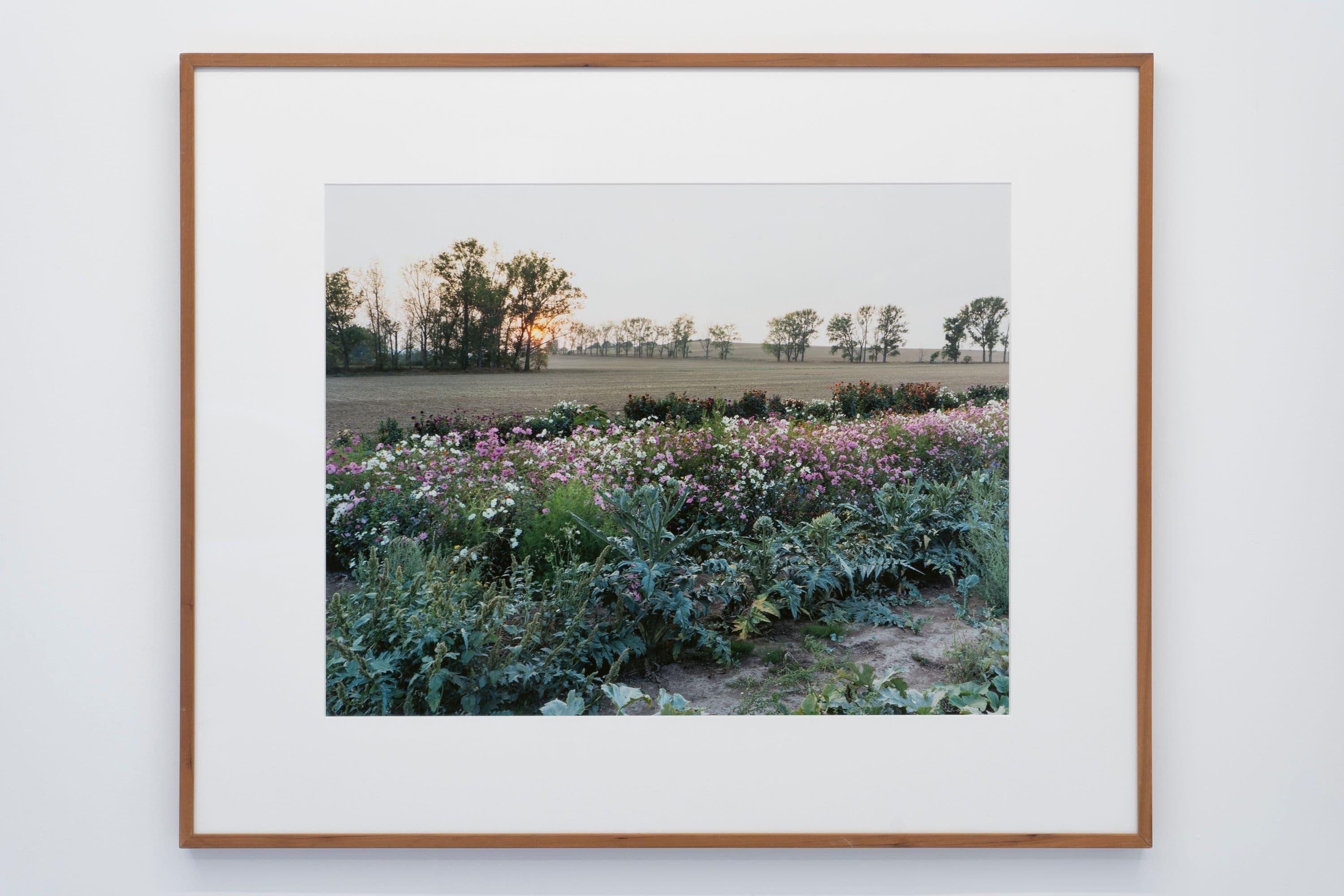 Noémie Degen/Simon Jaton, Chiara Simion, Richard Sides, Robert Pillenstein, Simone Nieweg @ Rinde am Rhein